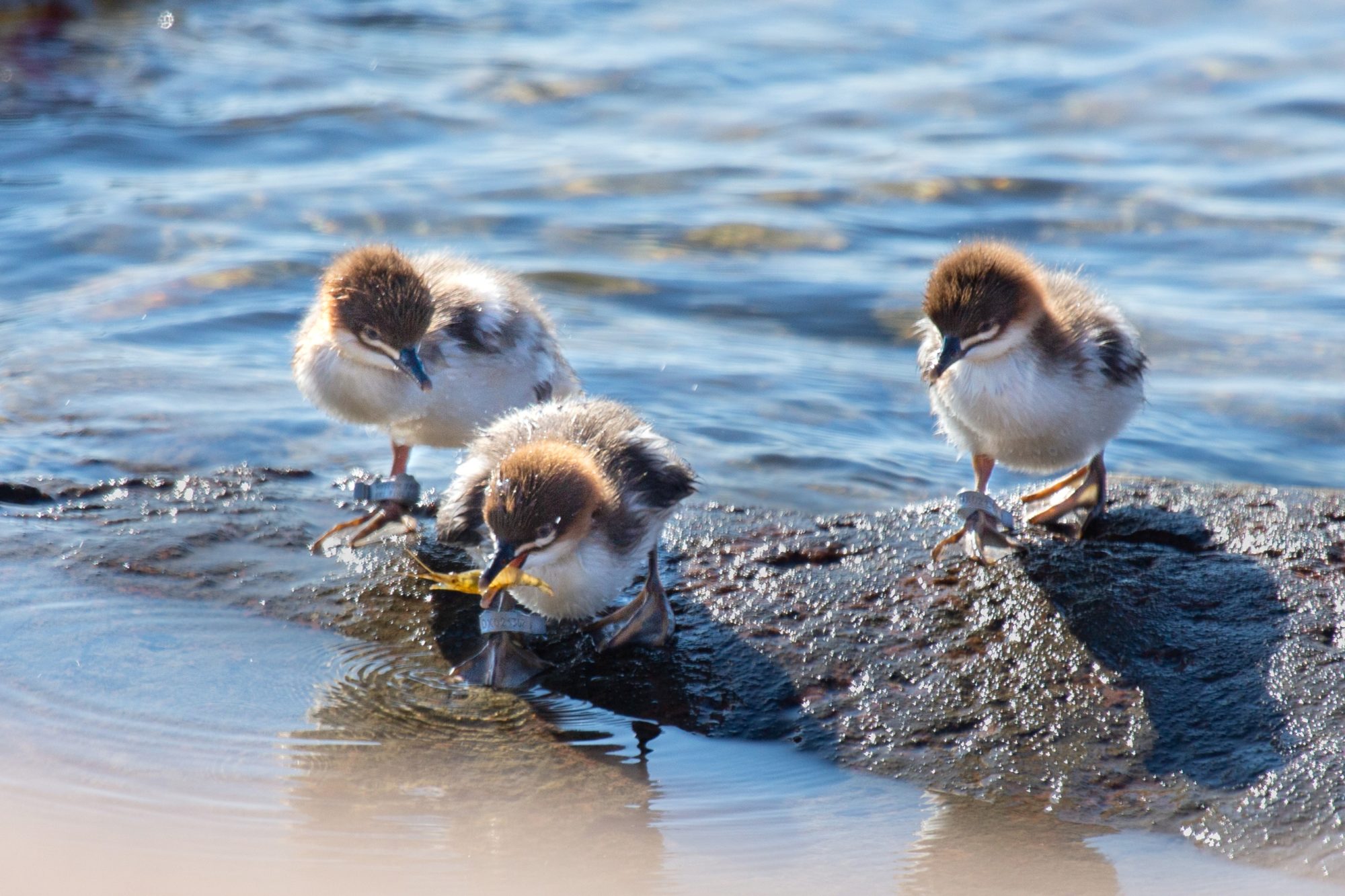 Valokuvaaja: Anna Tuominen