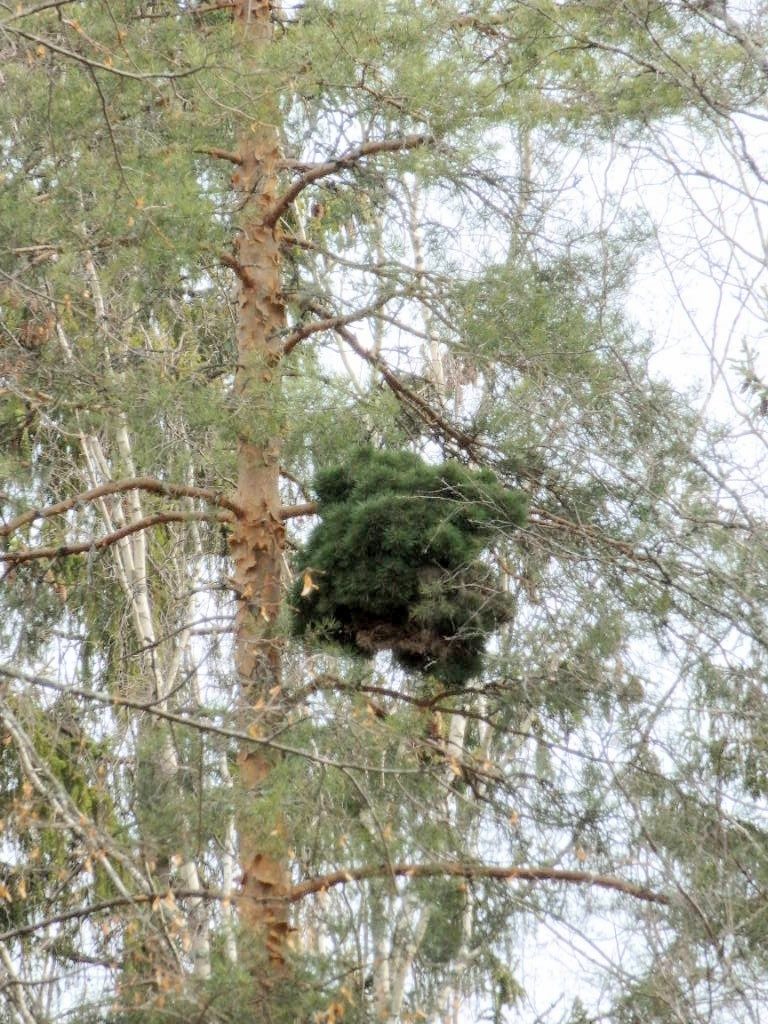 Valokuvaaja: samppa keturi