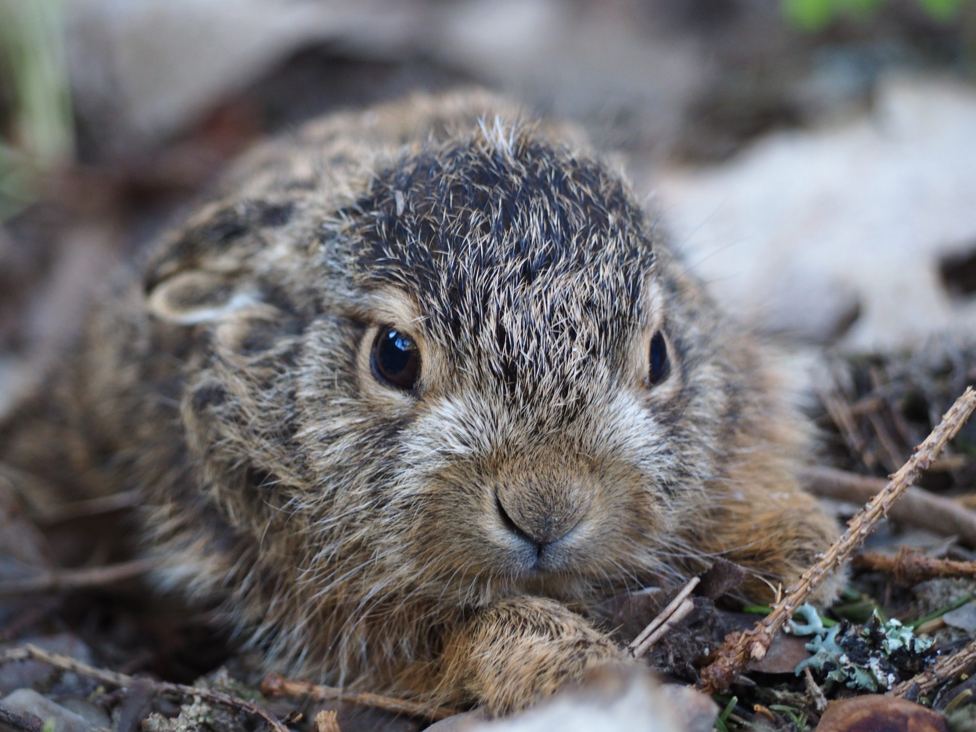 Valokuvaaja: Jenni Kauppinen