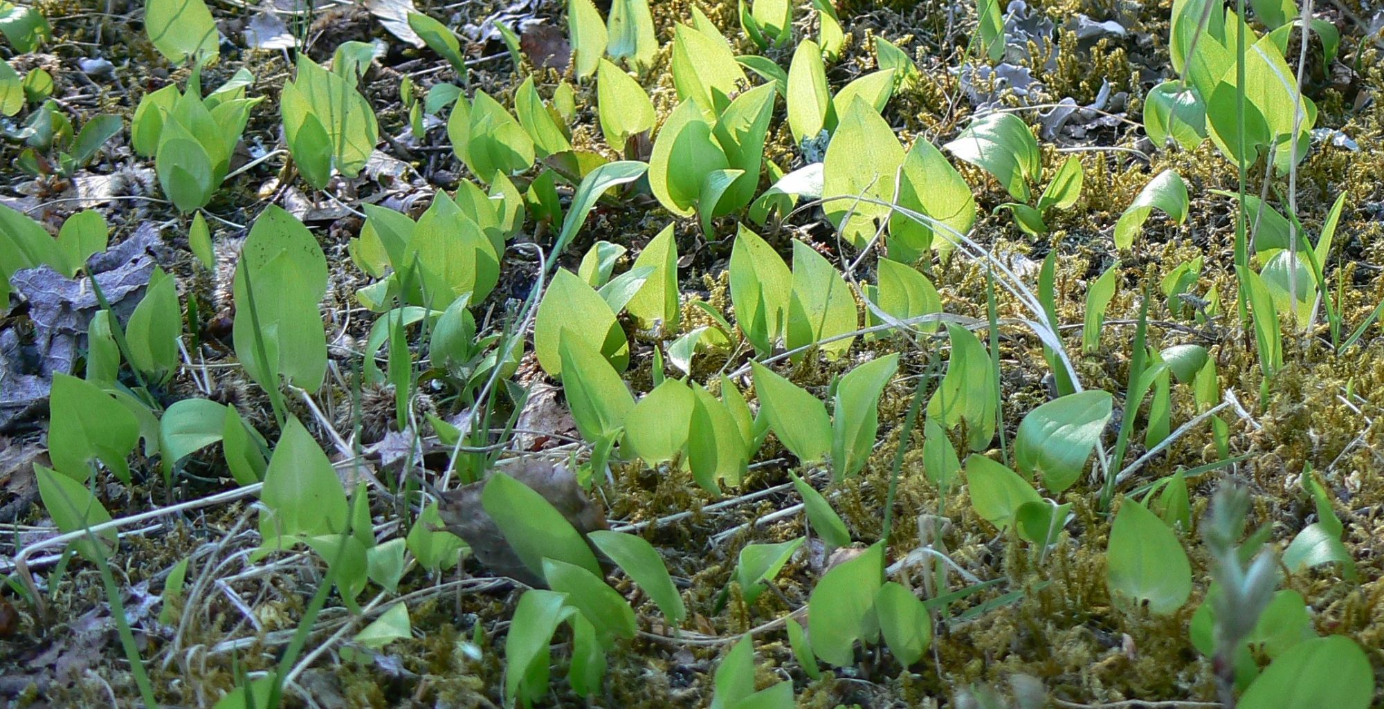 Valokuvaaja: Pekka Heino