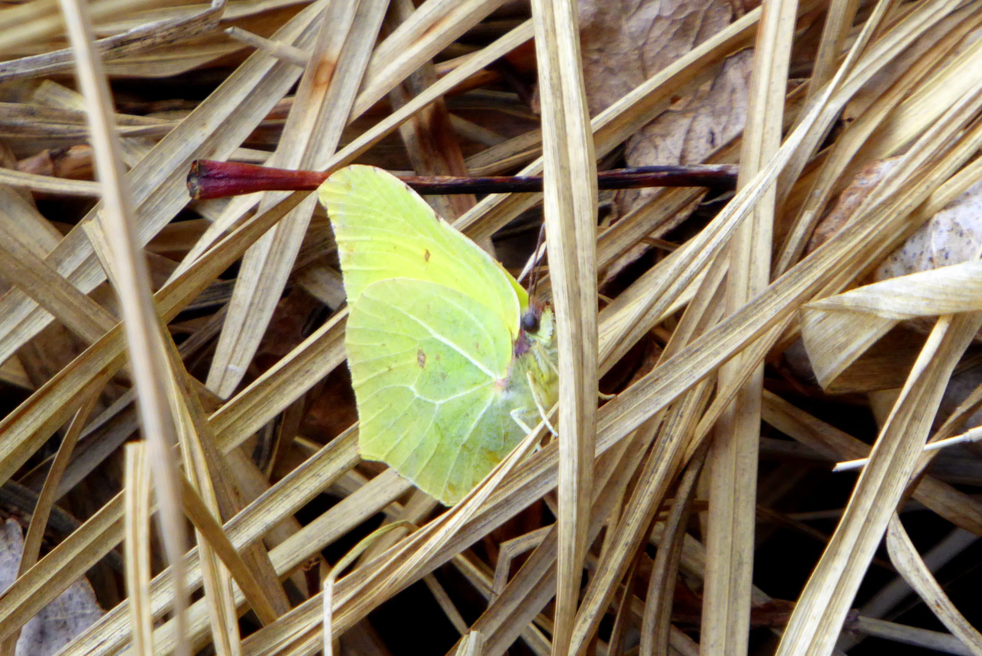 Valokuvaaja: Toni Asikainen
