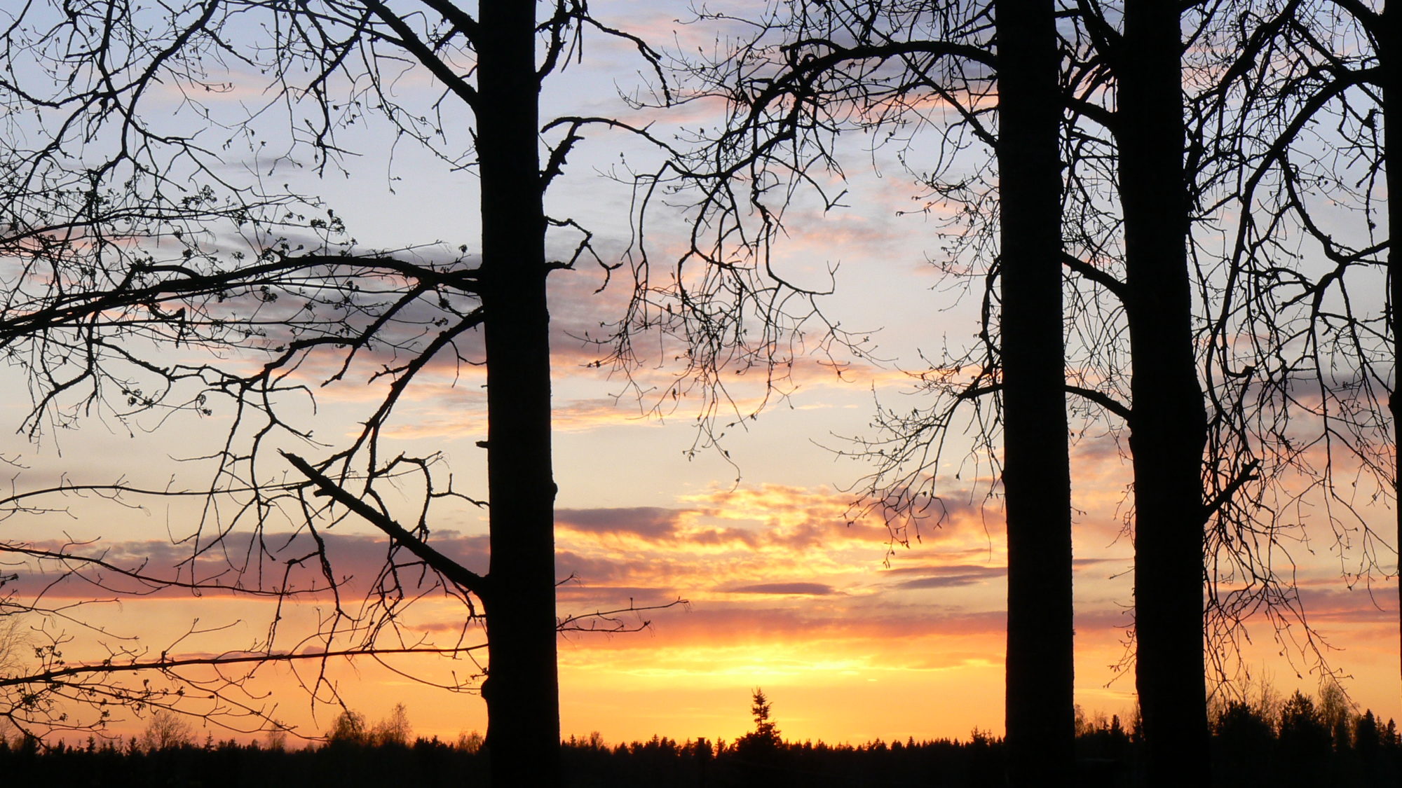Valokuvaaja: Pekka Heino Valokuvaaja: Pekka Heino