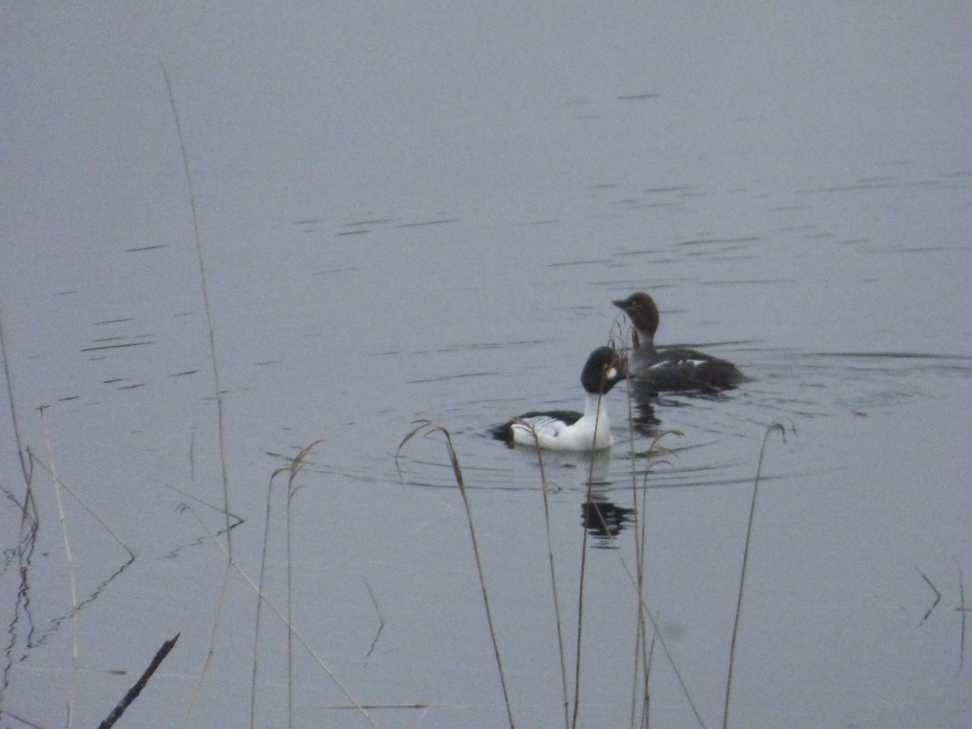 Valokuvaaja: Hannu Rissanen Valokuvaaja: Hannu Rissanen