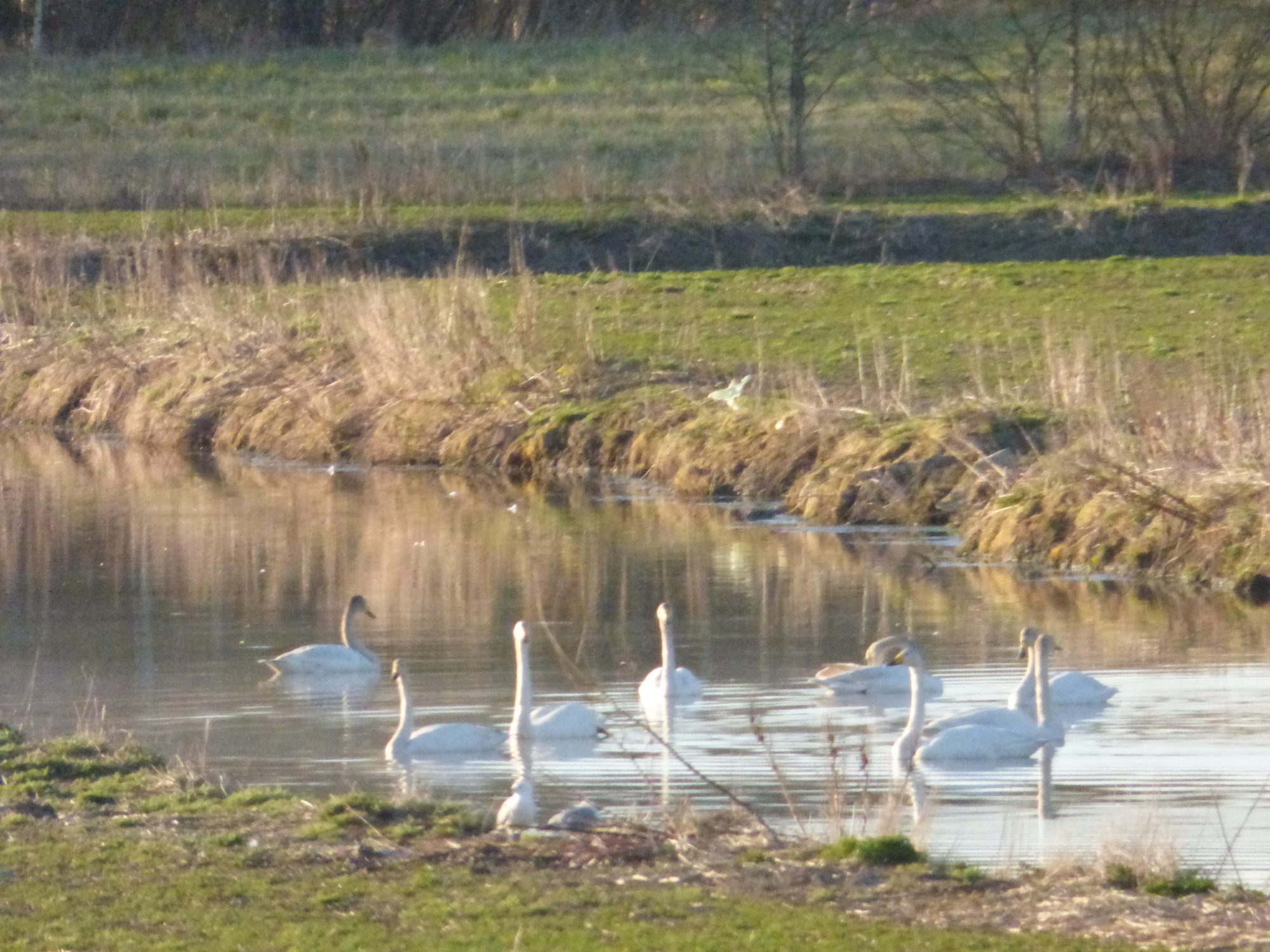 Valokuvaaja: Hannu Rissanen