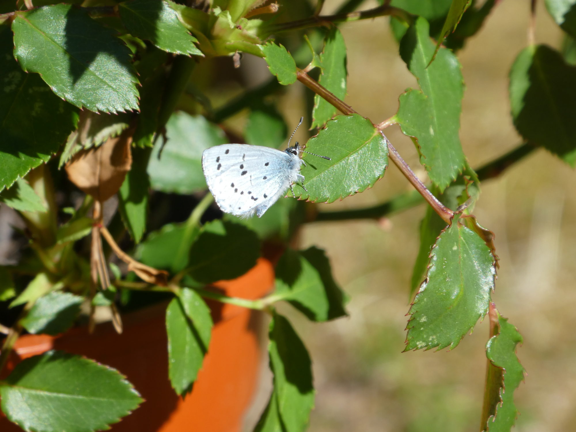 Valokuvaaja: Anja Mustamaa