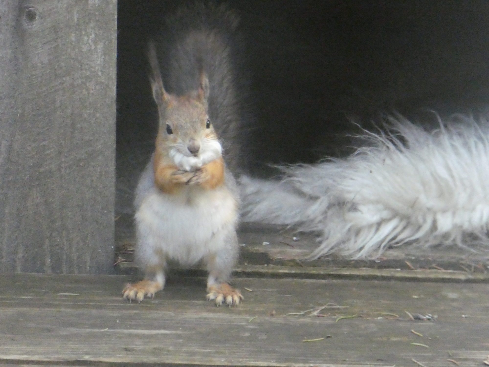 Valokuvaaja: Anja Mustamaa