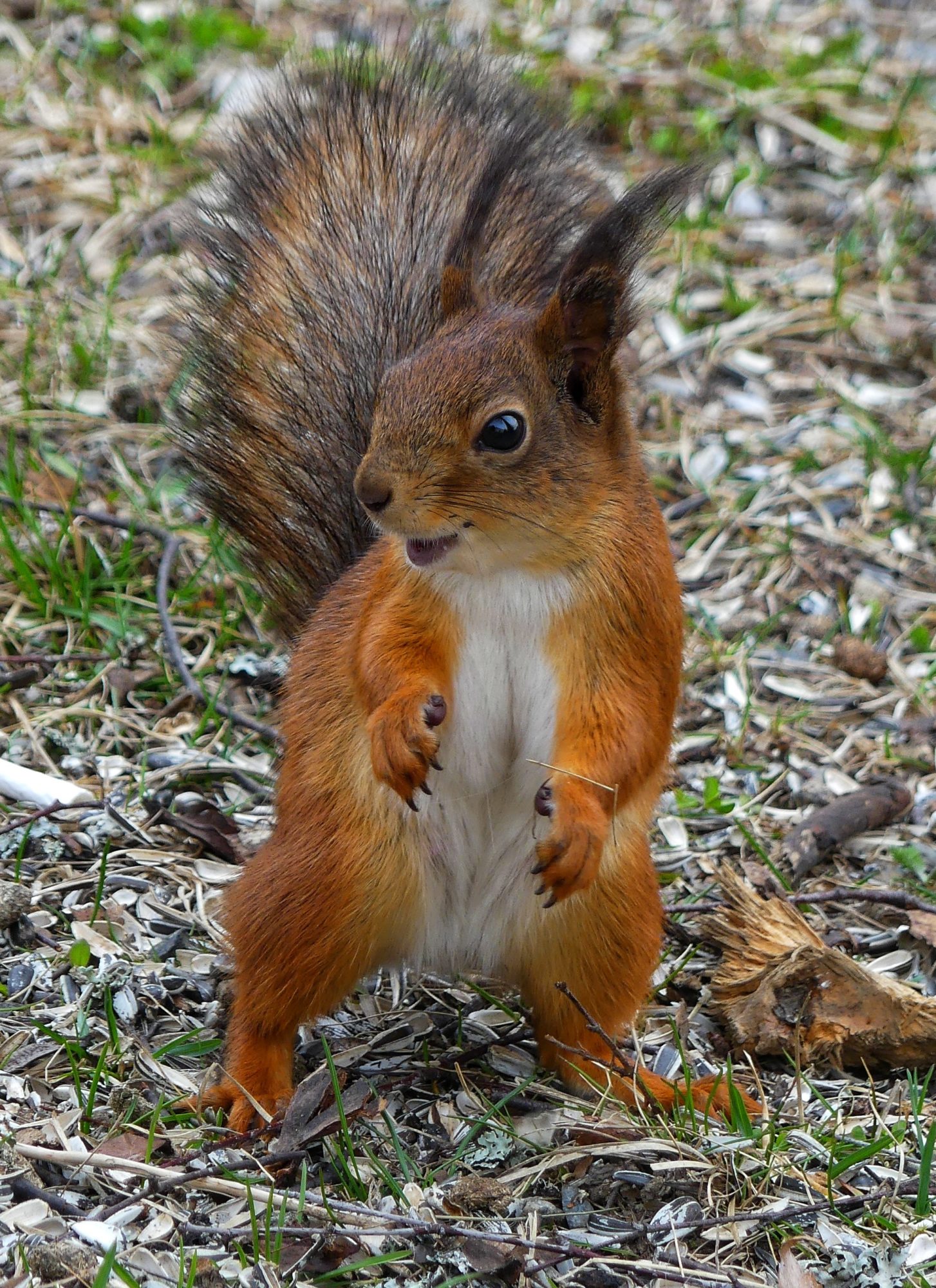 Valokuvaaja: Tiina Ahovainio
