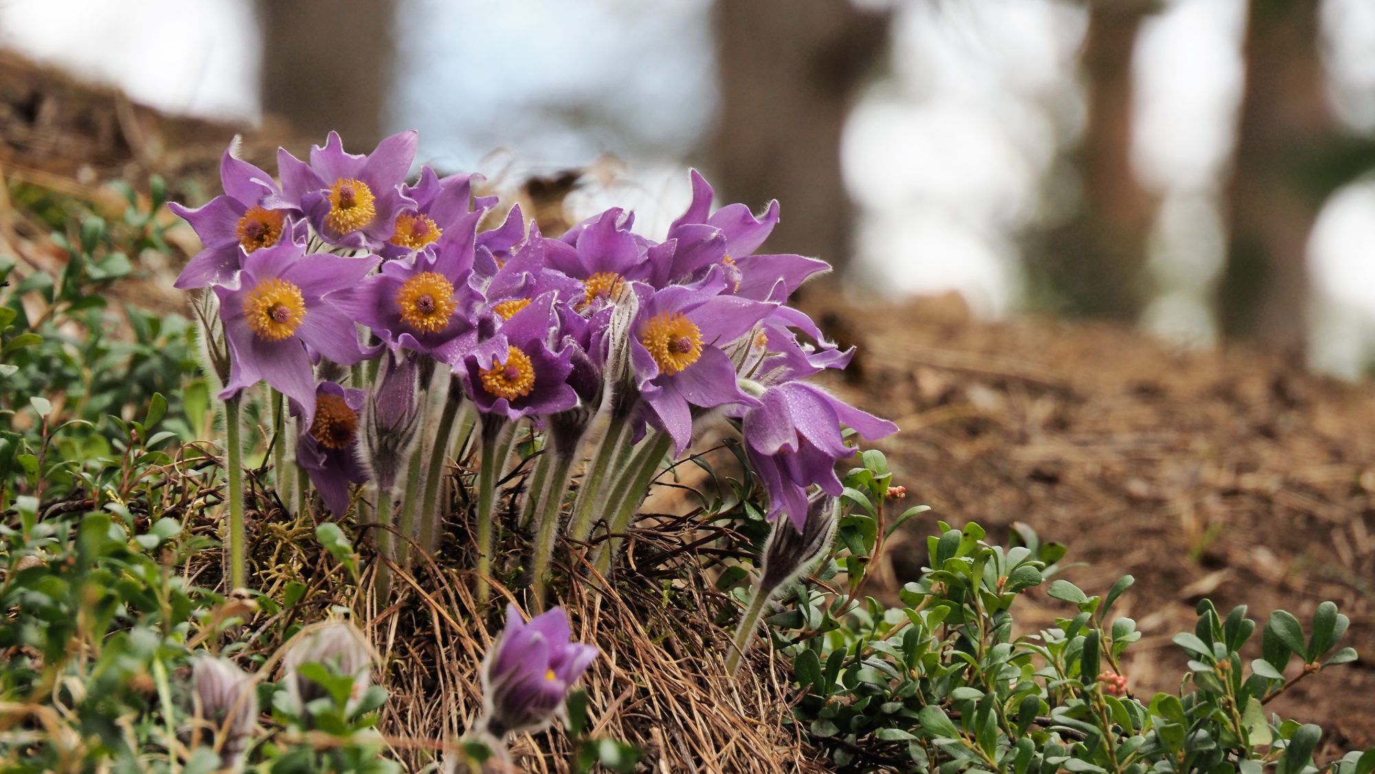 Valokuvaaja: Arja Valtonen