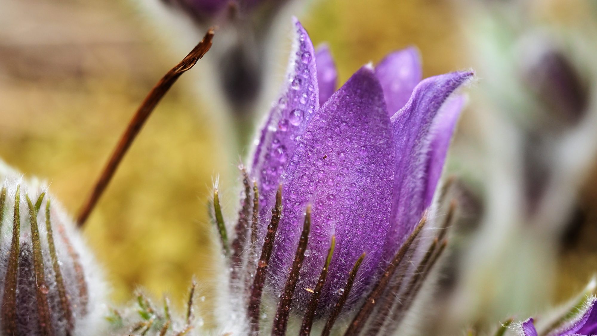 Valokuvaaja: Arja Valtonen