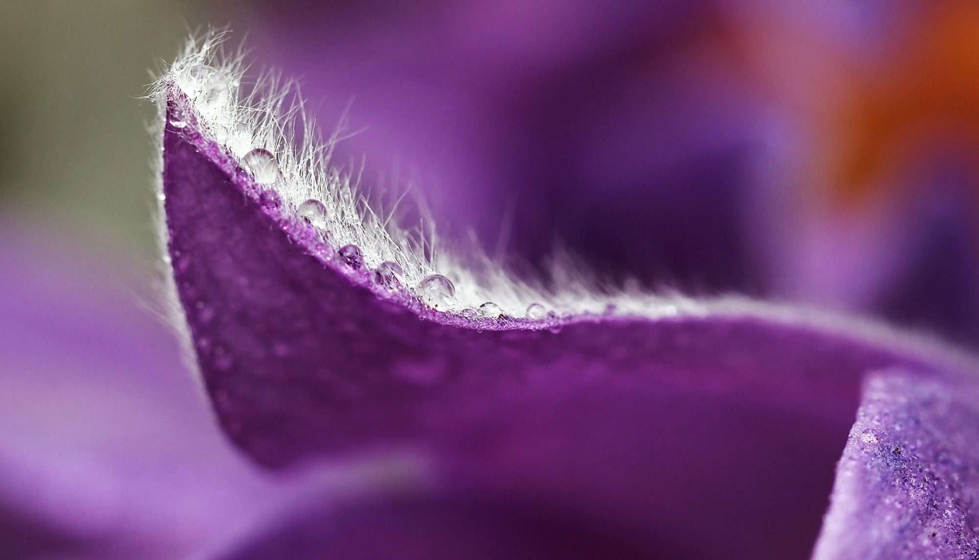 Valokuvaaja: Arja Valtonen