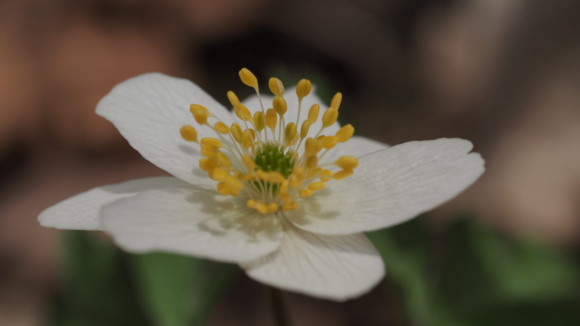 Valokuvaaja: Arja Valtonen