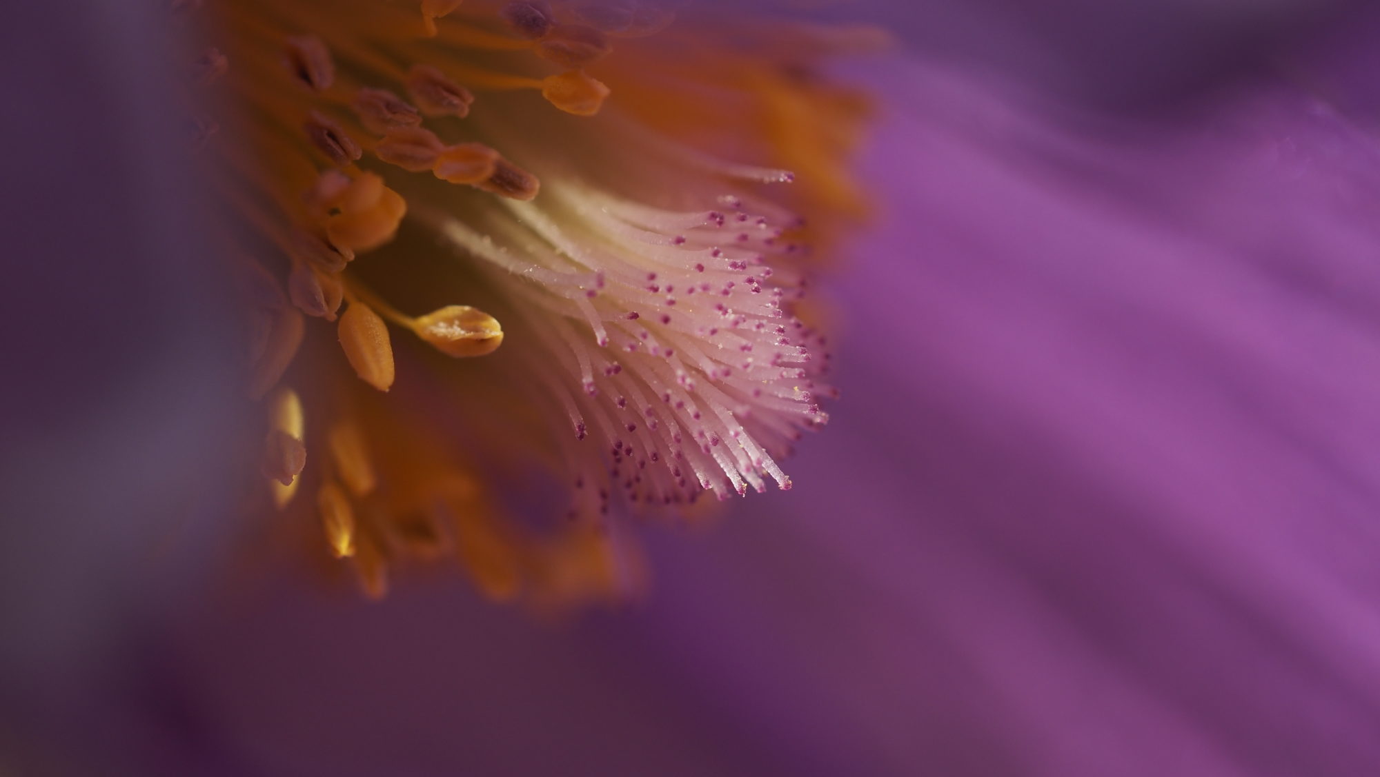 Valokuvaaja: Arja Valtonen