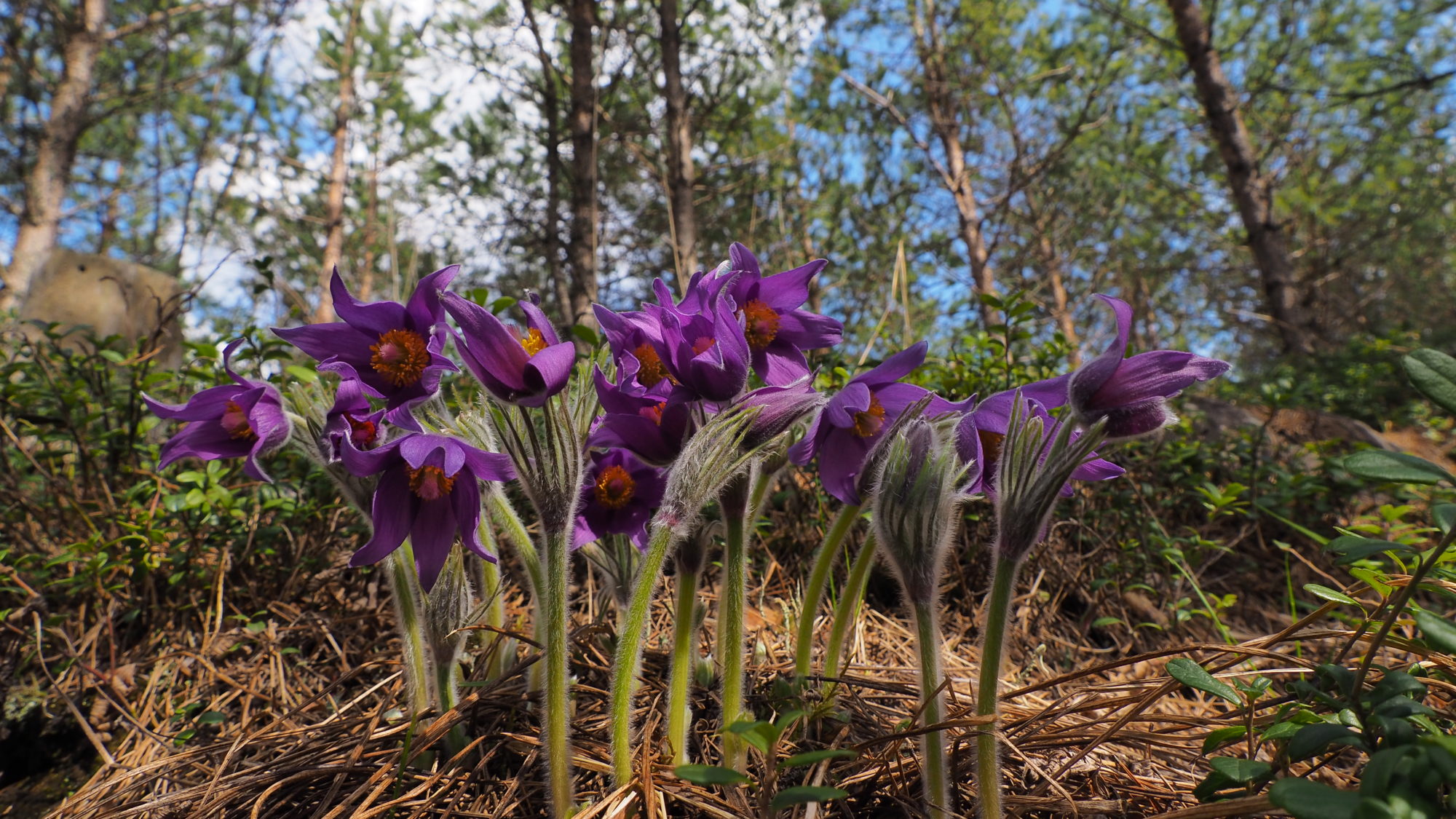 Valokuvaaja: Martti Valtonen
