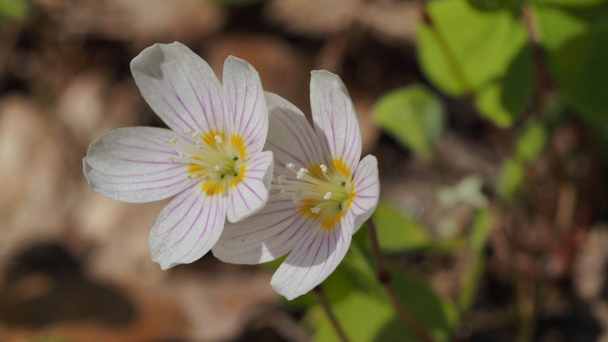 Valokuvaaja: Arja Valtonen