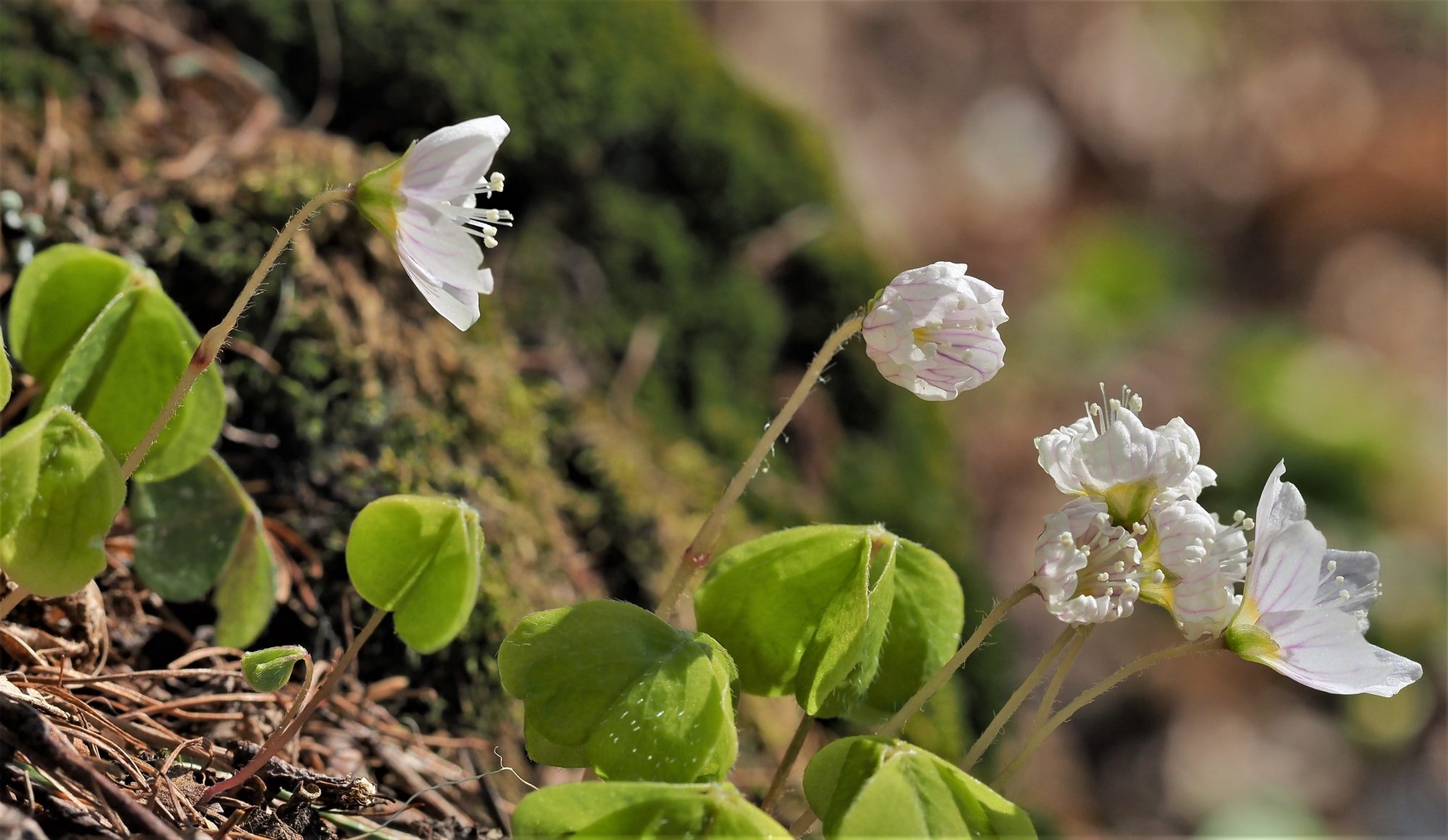 Valokuvaaja: Arja Valtonen