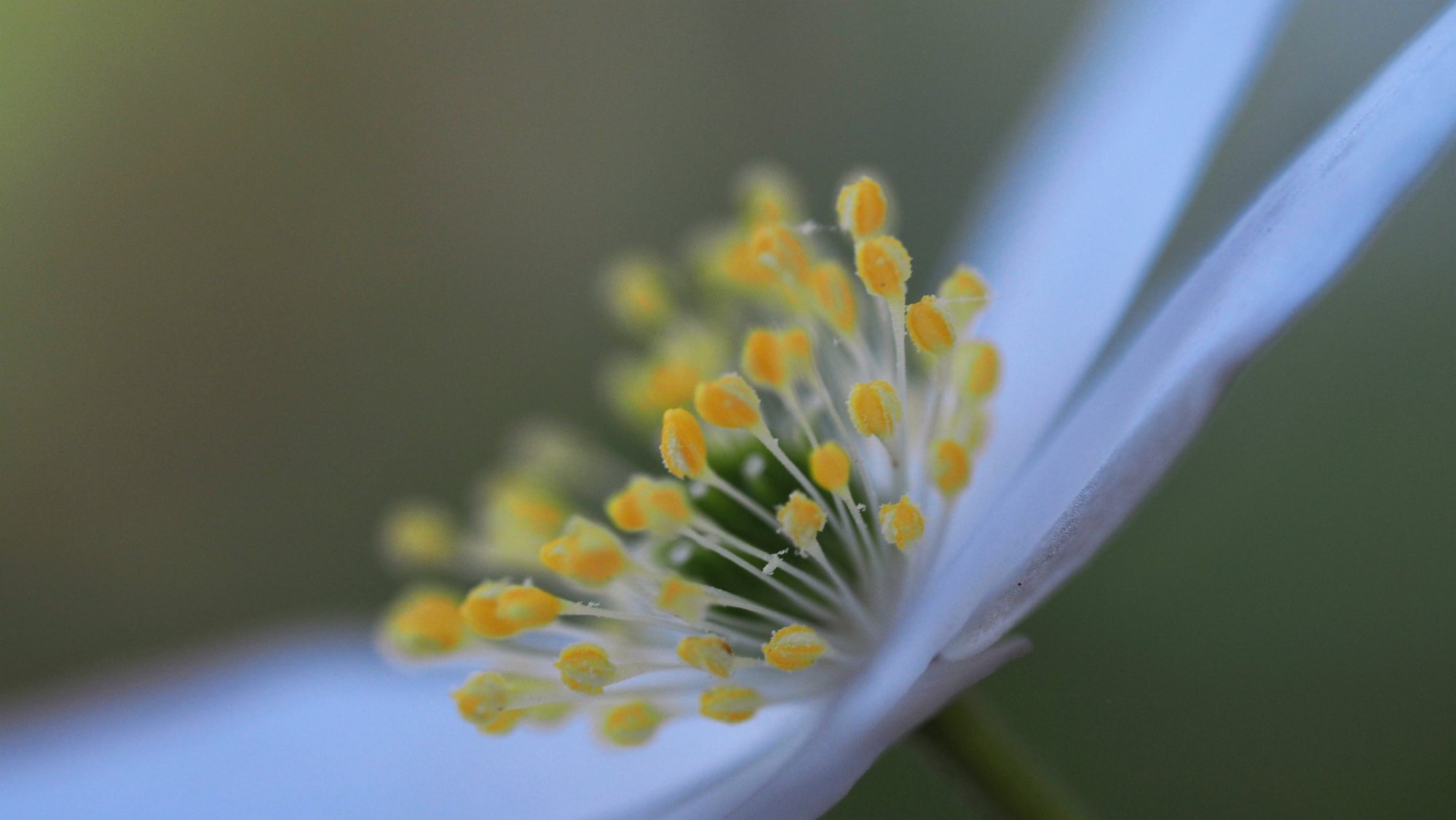 Valokuvaaja: Arja Valtonen