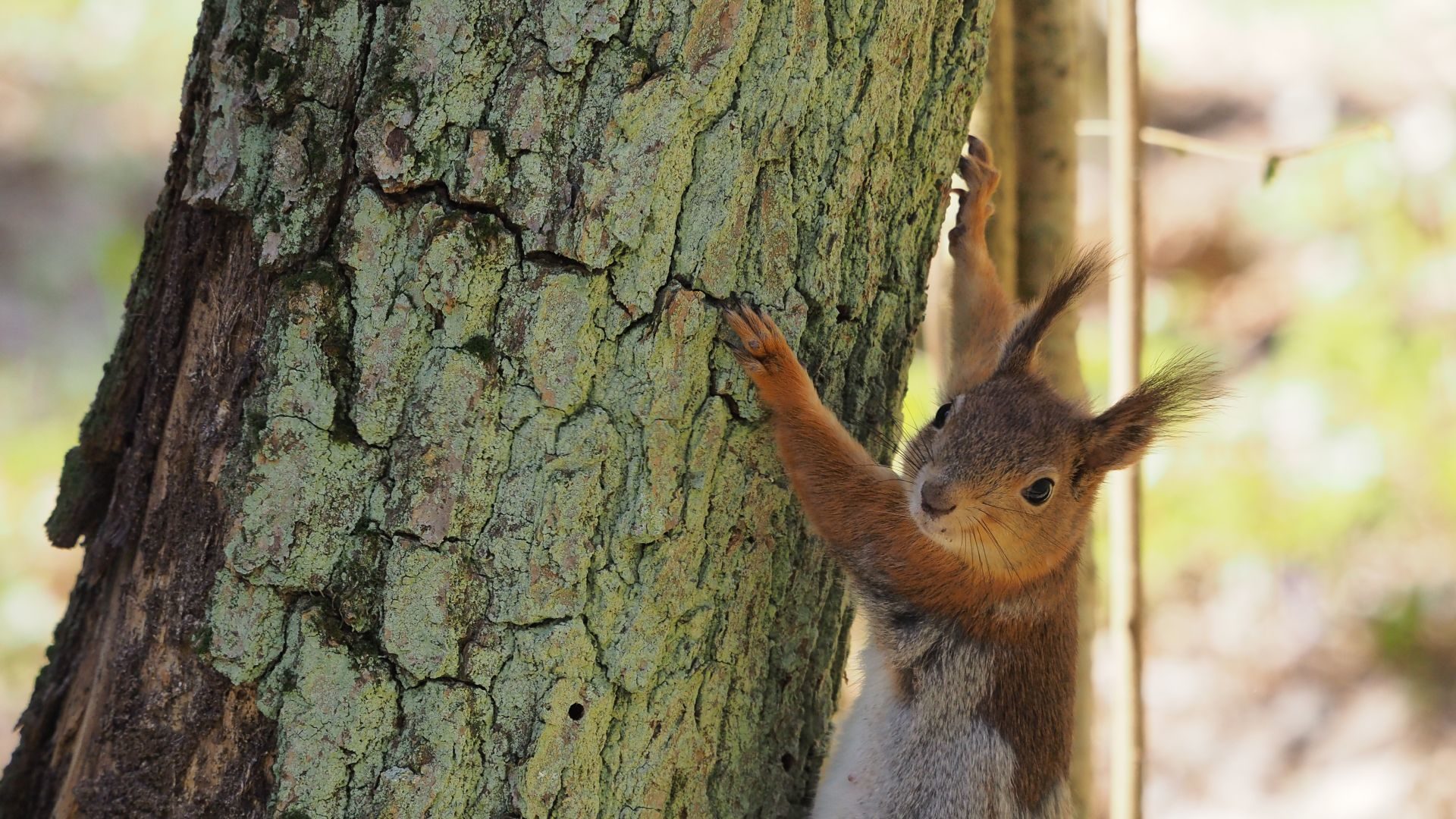 Valokuvaaja: Martti Valtonen