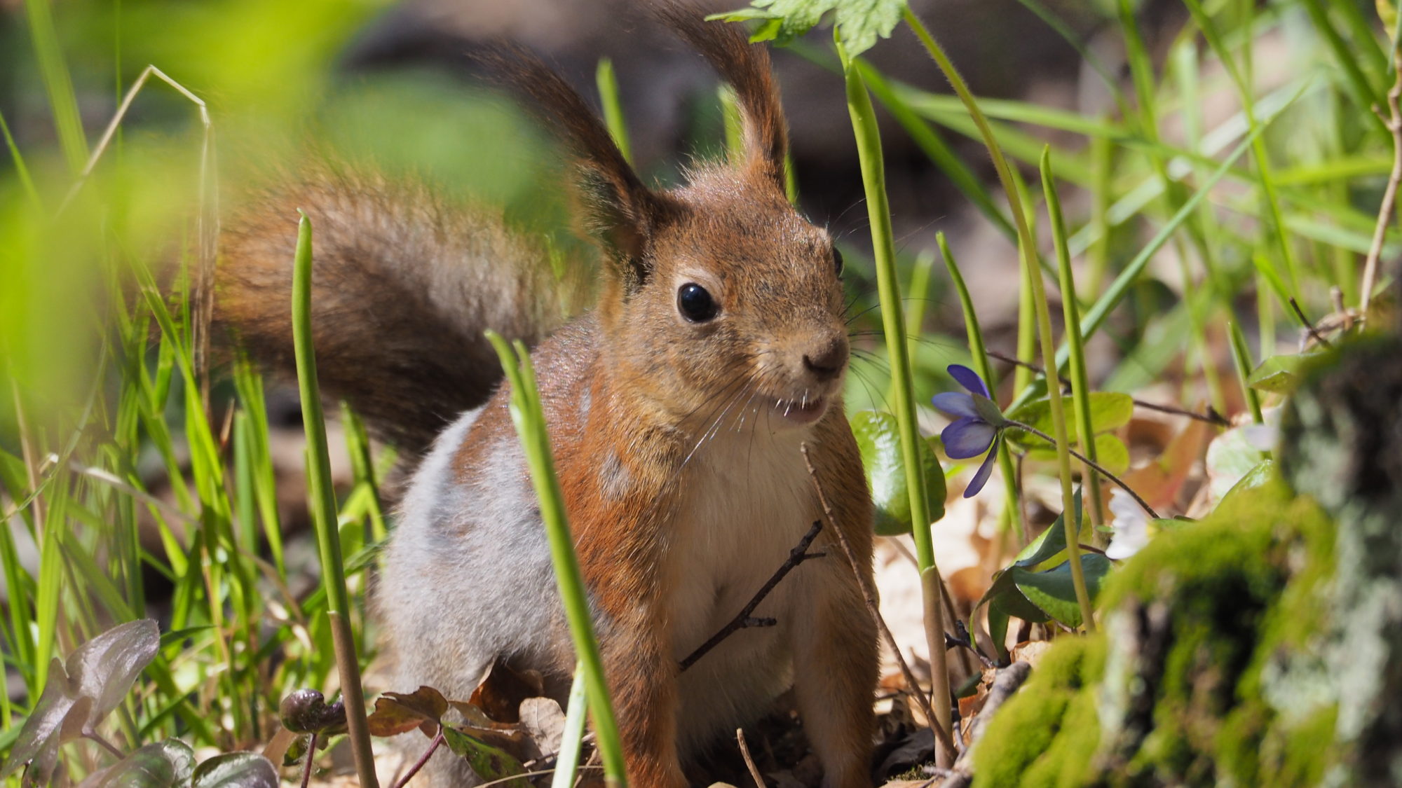 Valokuvaaja: Martti Valtonen