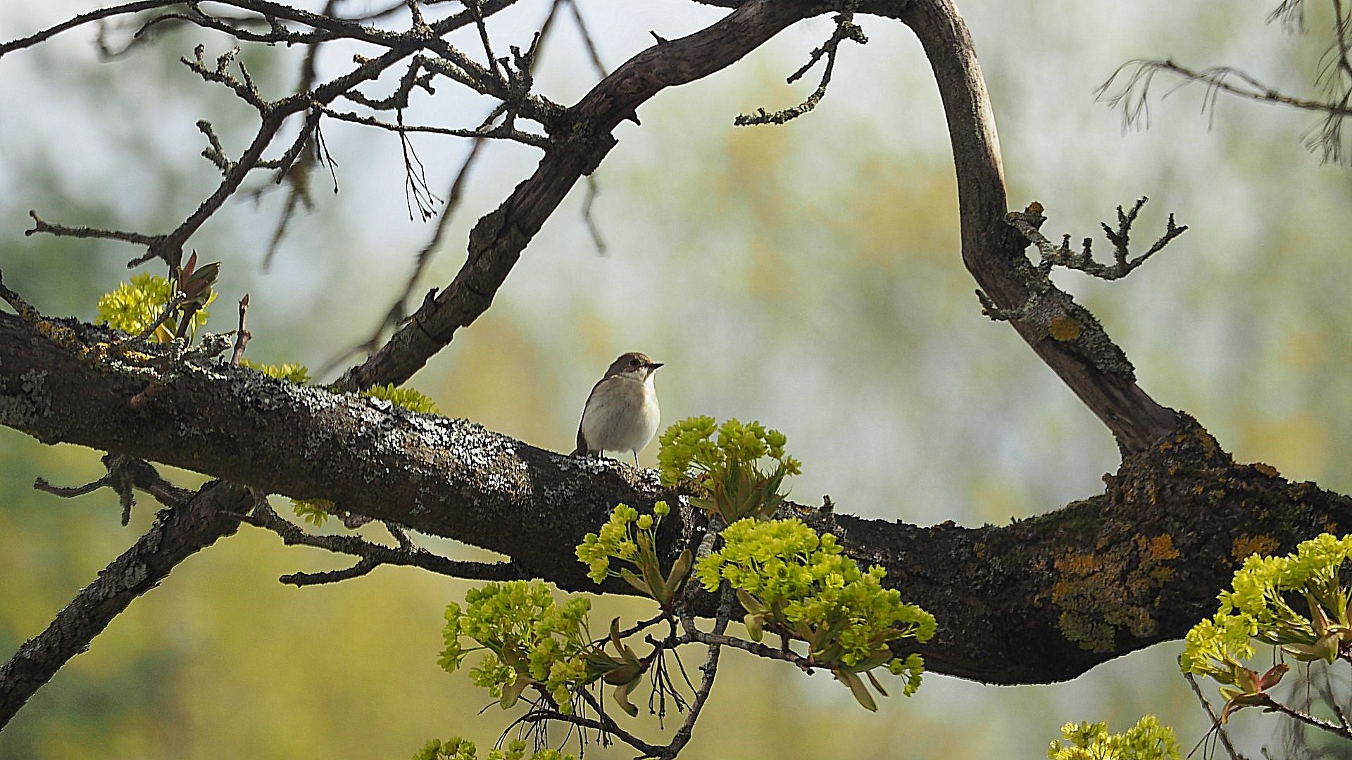 Valokuvaaja: Martti Valtonen