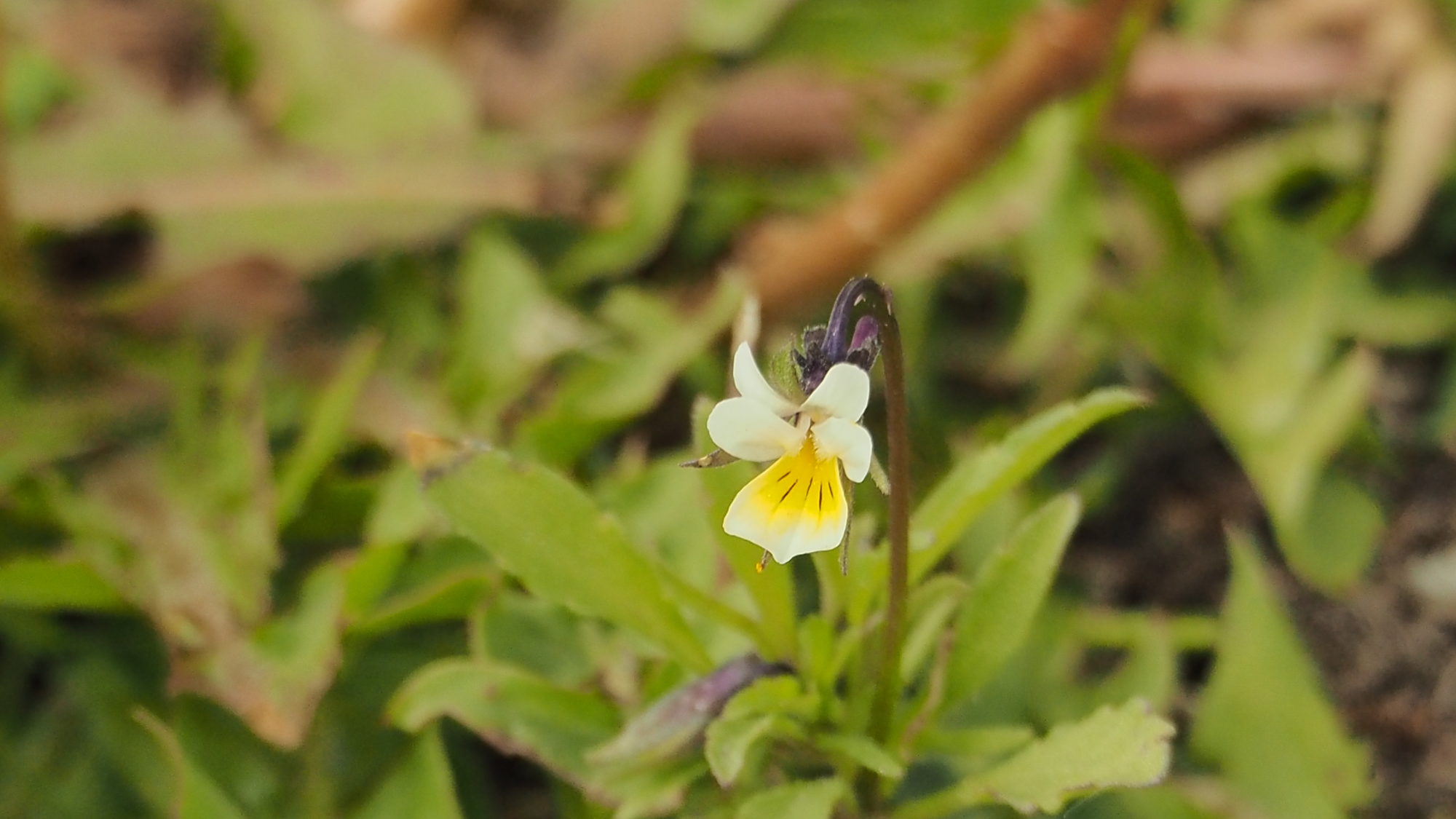 Valokuvaaja: Martti Valtonen