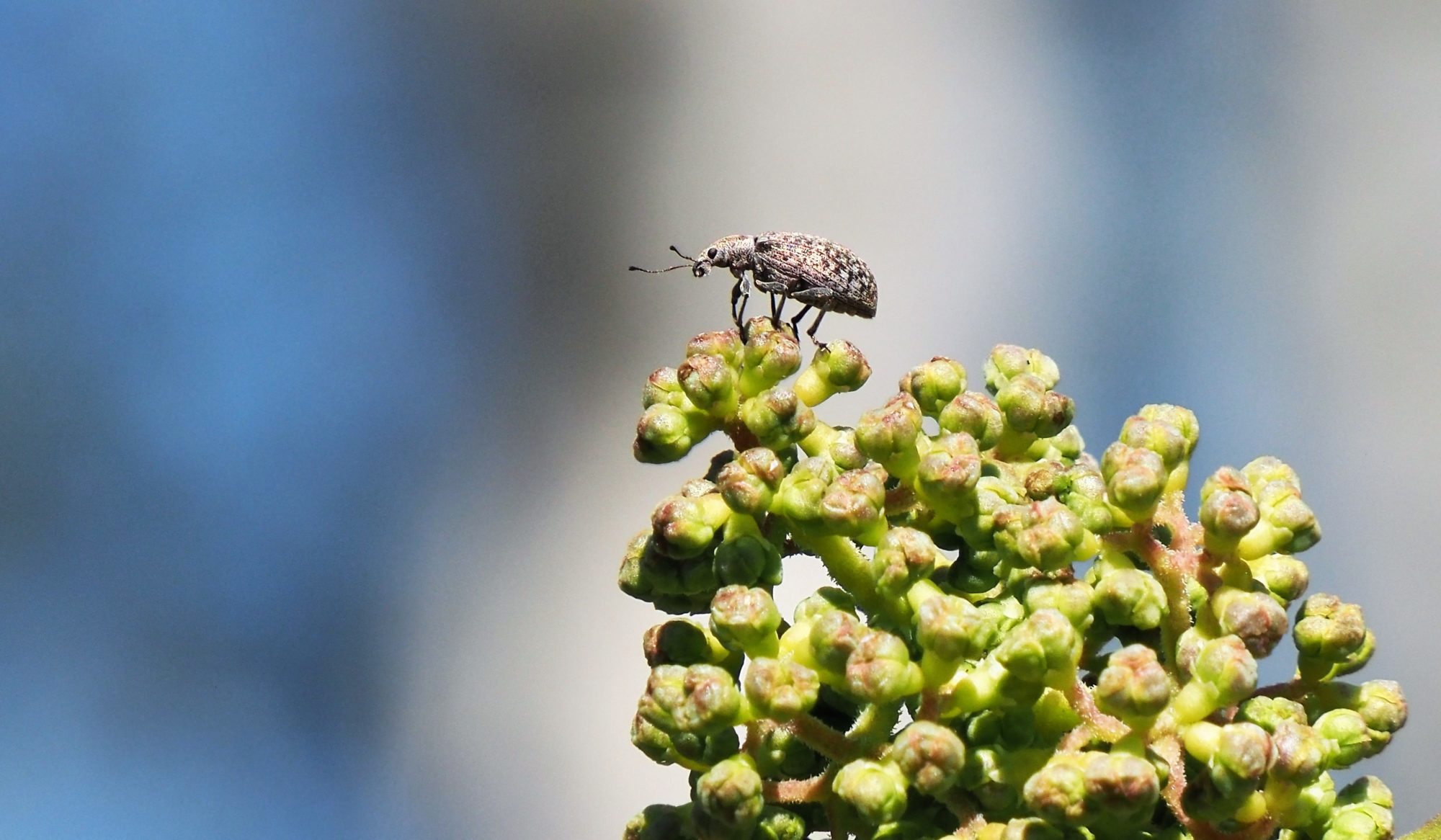 Valokuvaaja: Arja Valtonen Valokuvaaja: Arja Valtonen