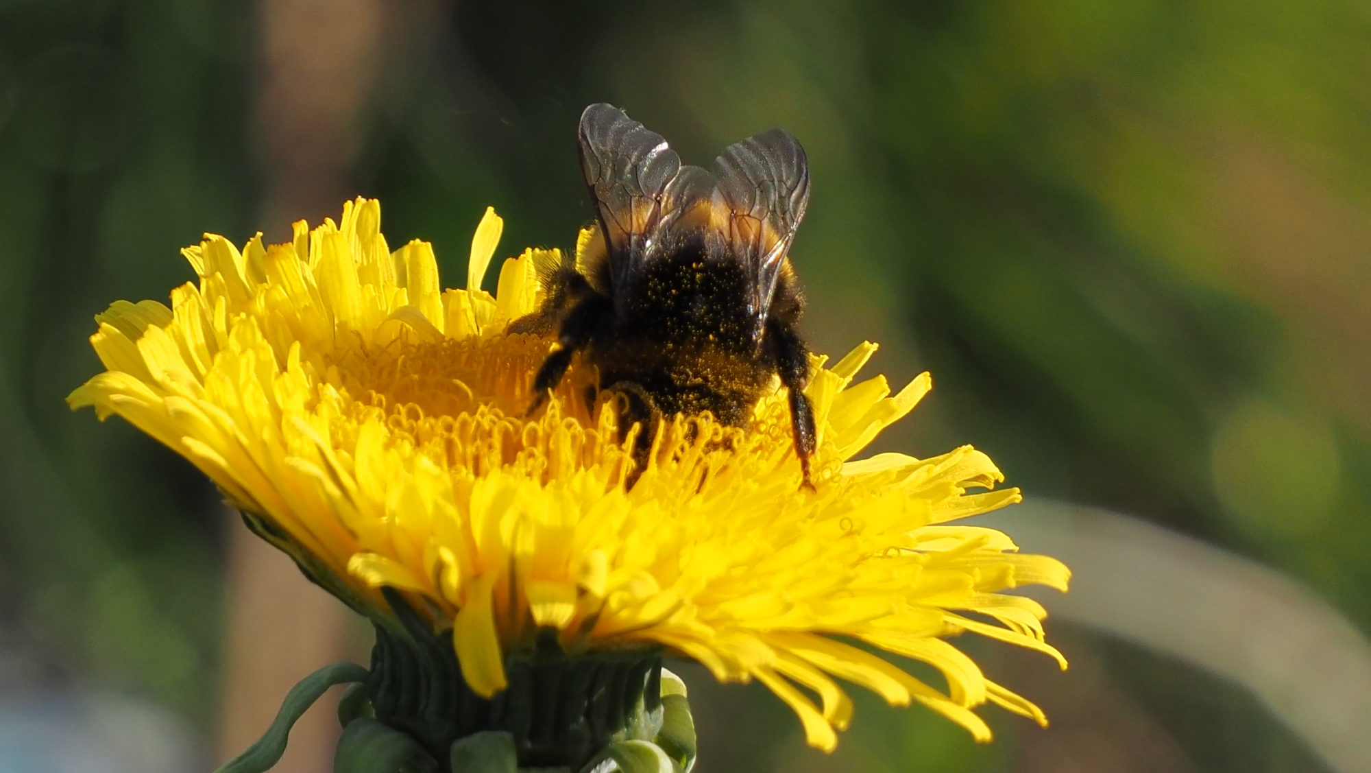 Valokuvaaja: Arja Valtonen