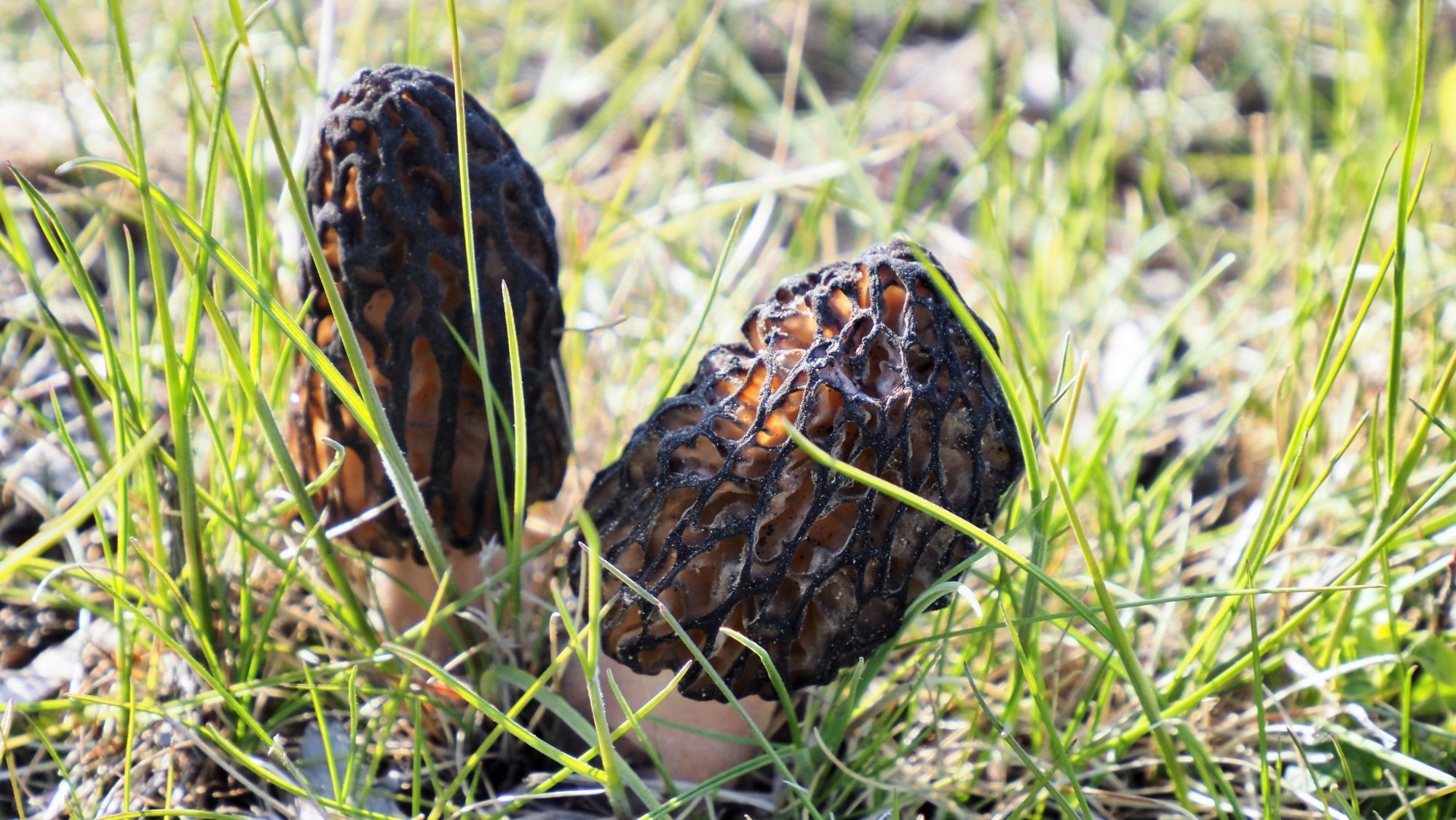 Valokuvaaja: Arja Valtonen