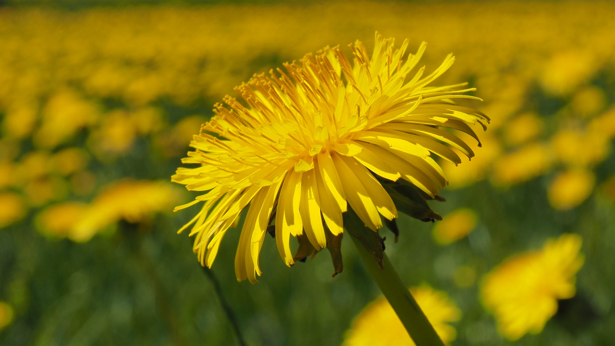 Valokuvaaja: Valtonen Martti