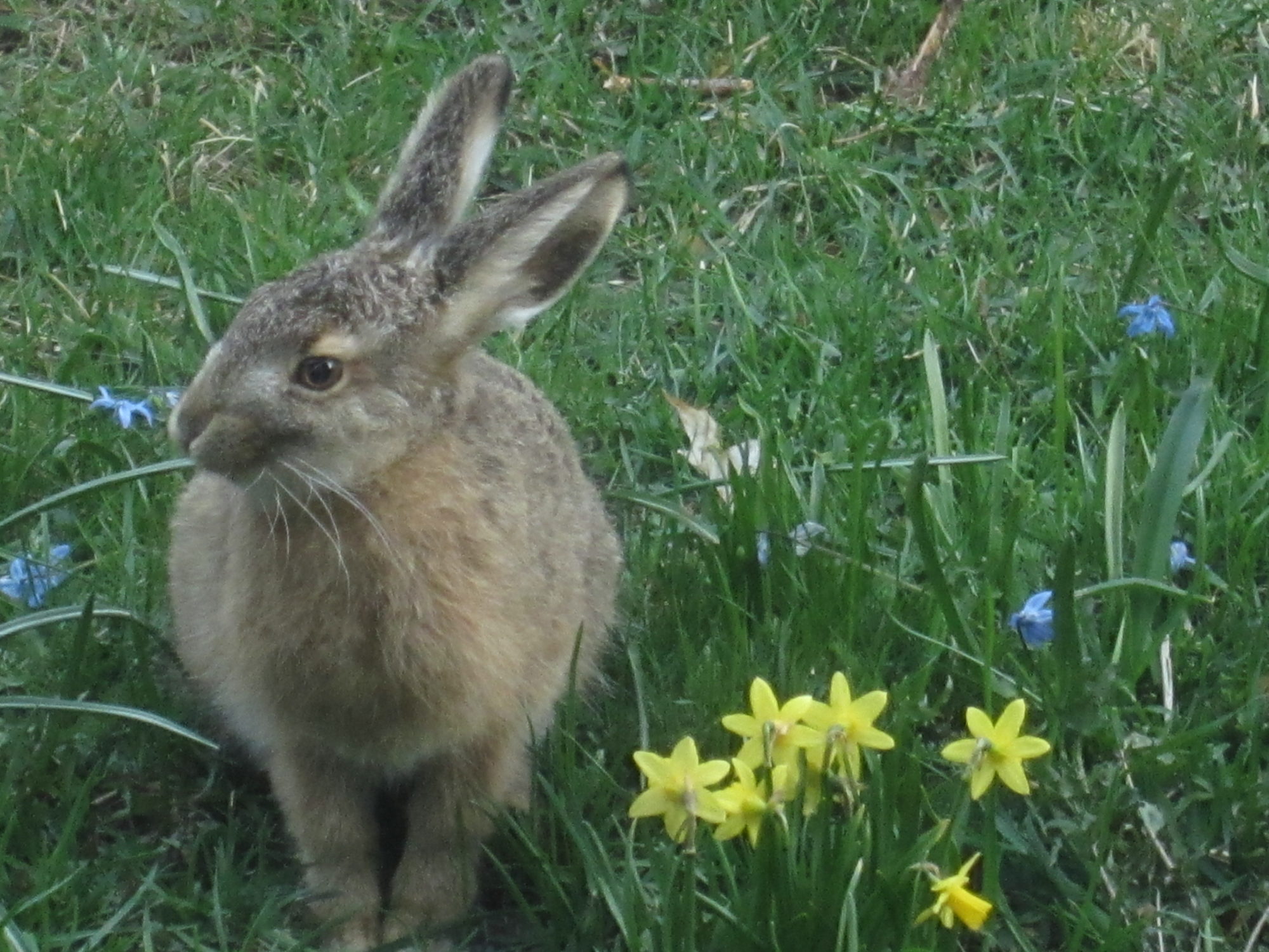 Valokuvaaja: Marita Portin