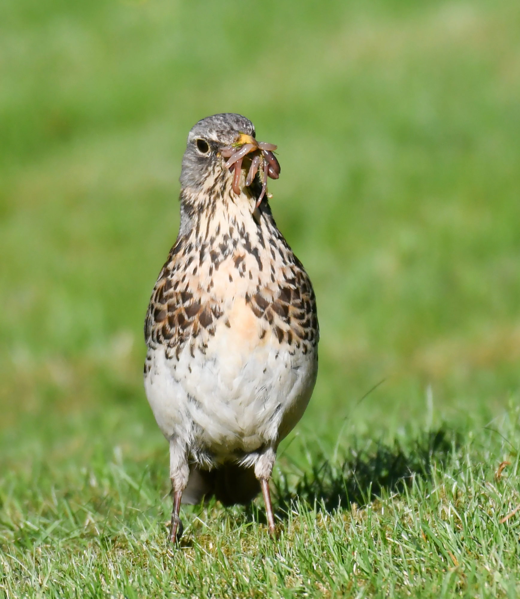 Valokuvaaja: Matti Manninen