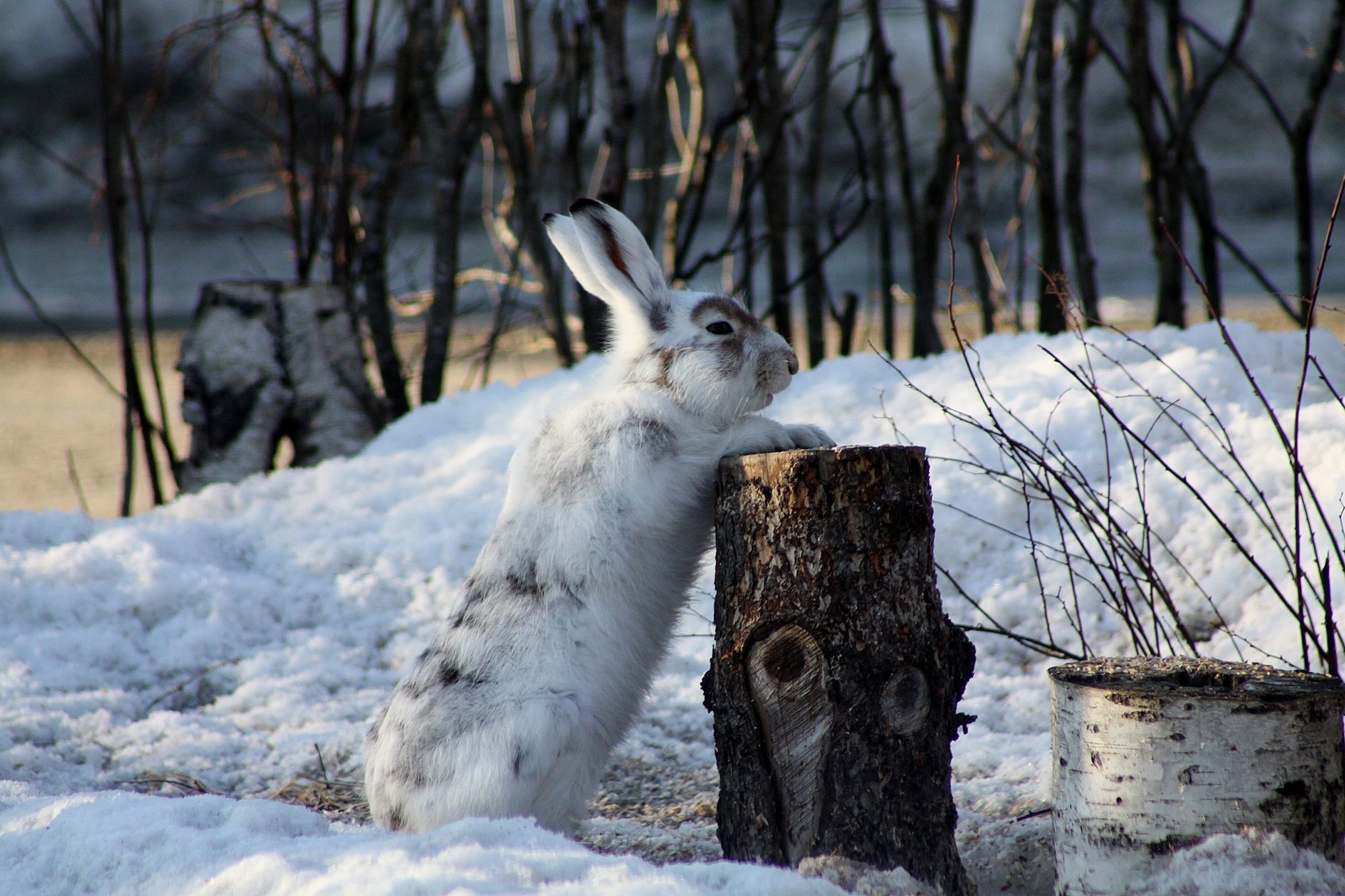 Valokuvaaja: Pirkko Siukonen