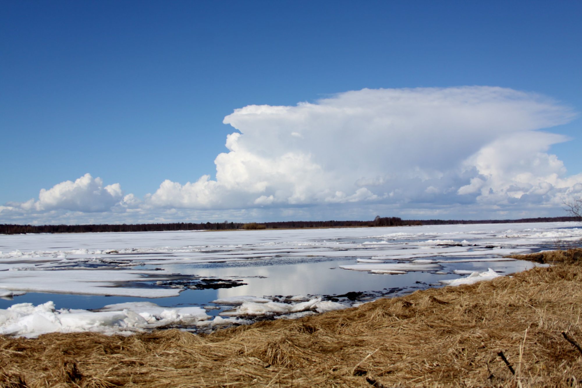 Valokuvaaja: Pirkko Siukonen