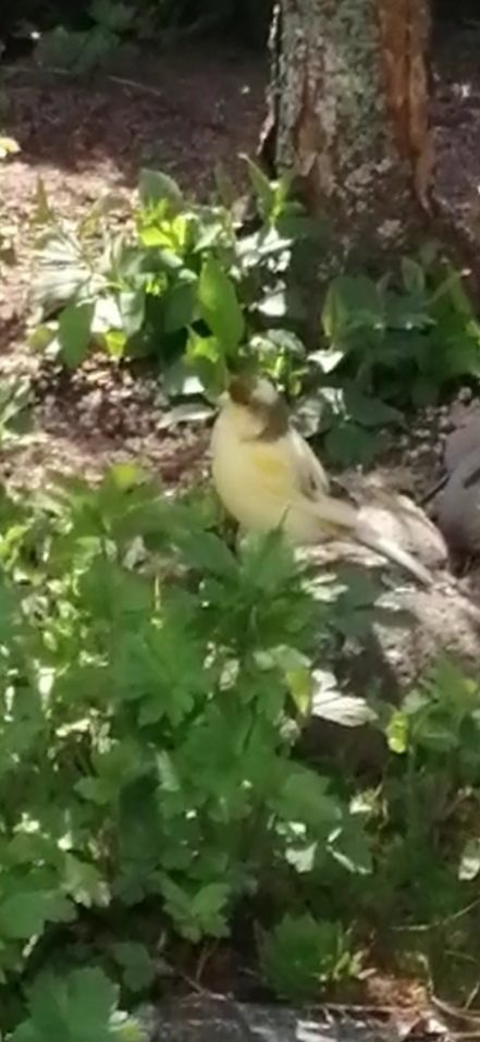 Valokuvaaja: Sari Kytö