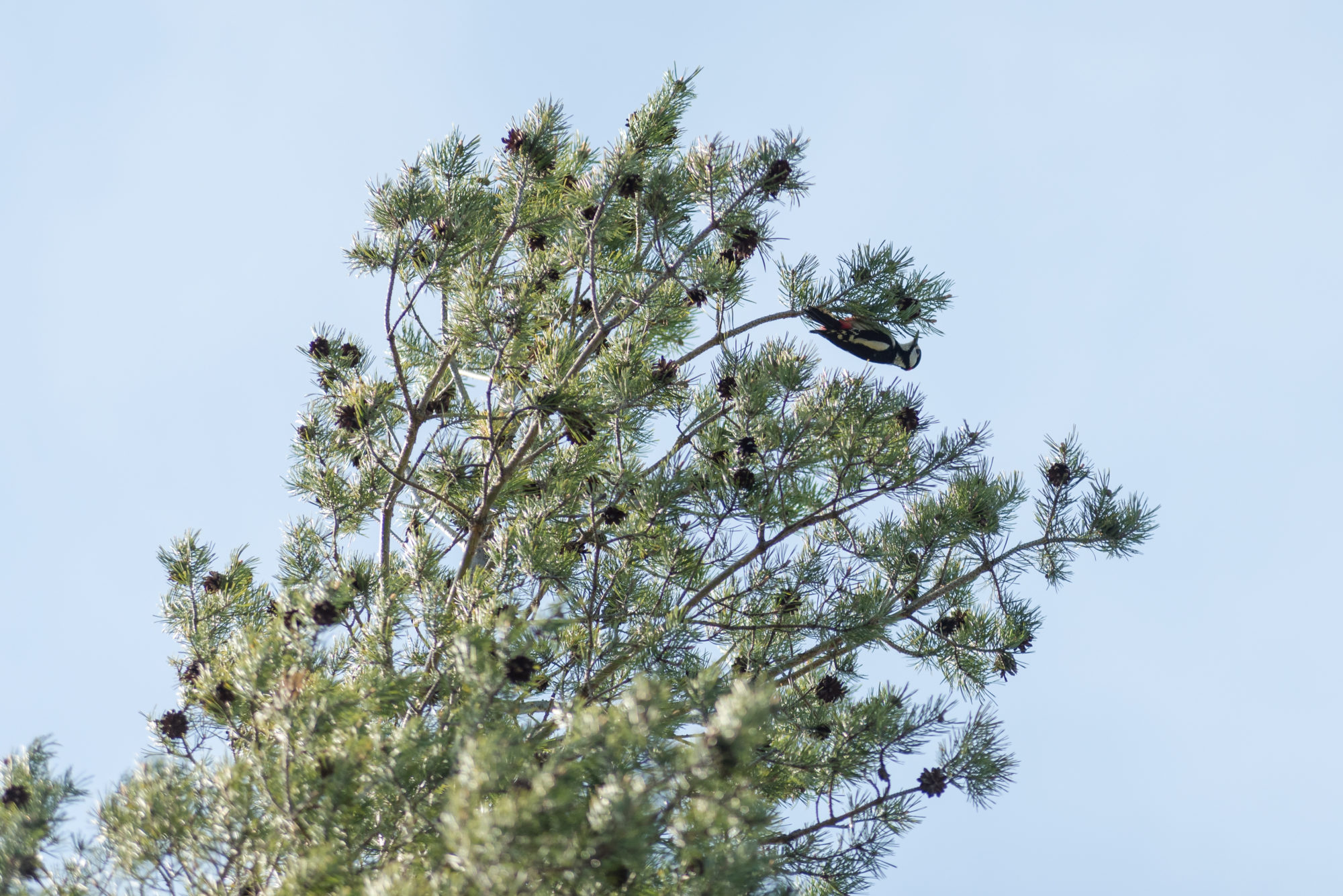 Valokuvaaja: Timo Vuoriainen