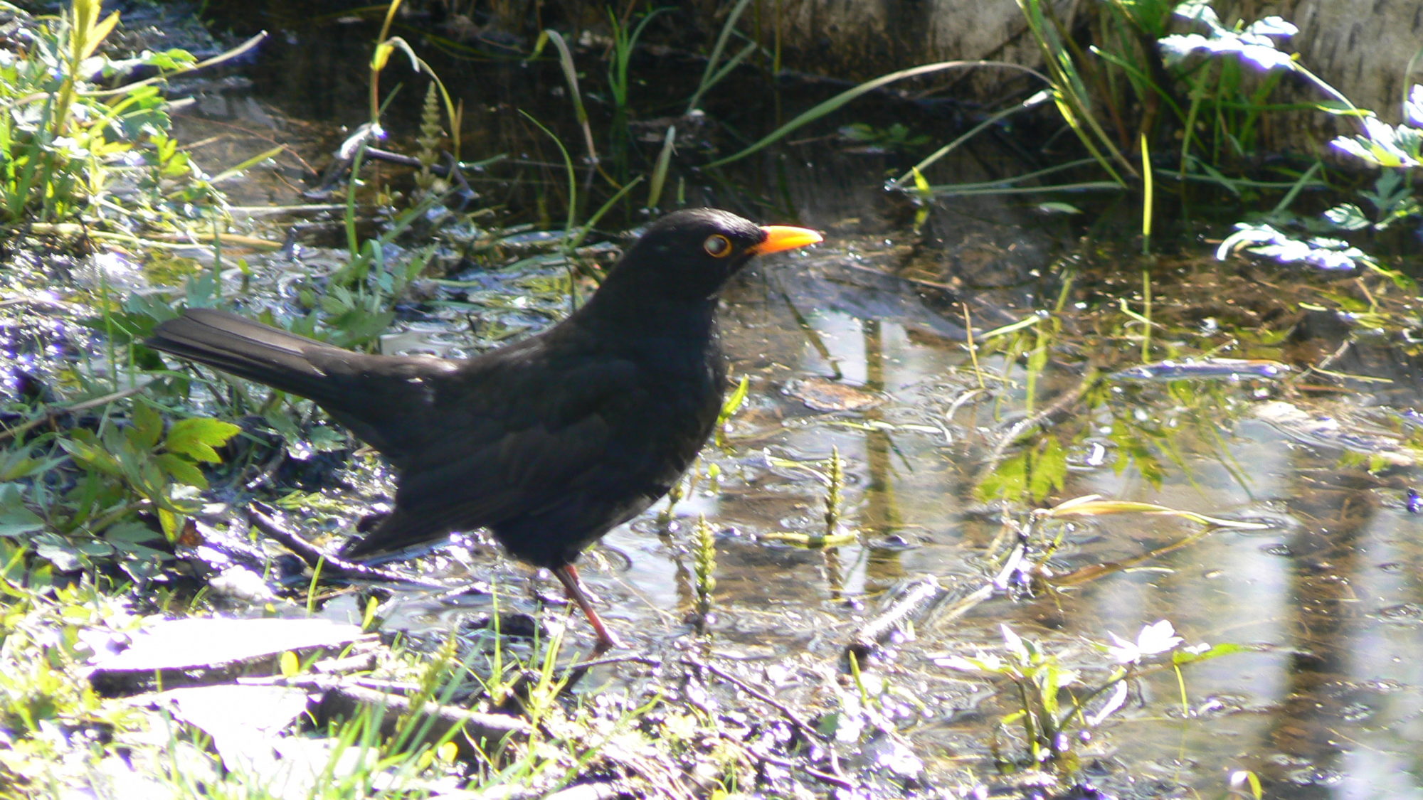 Valokuvaaja: Pekka Heino