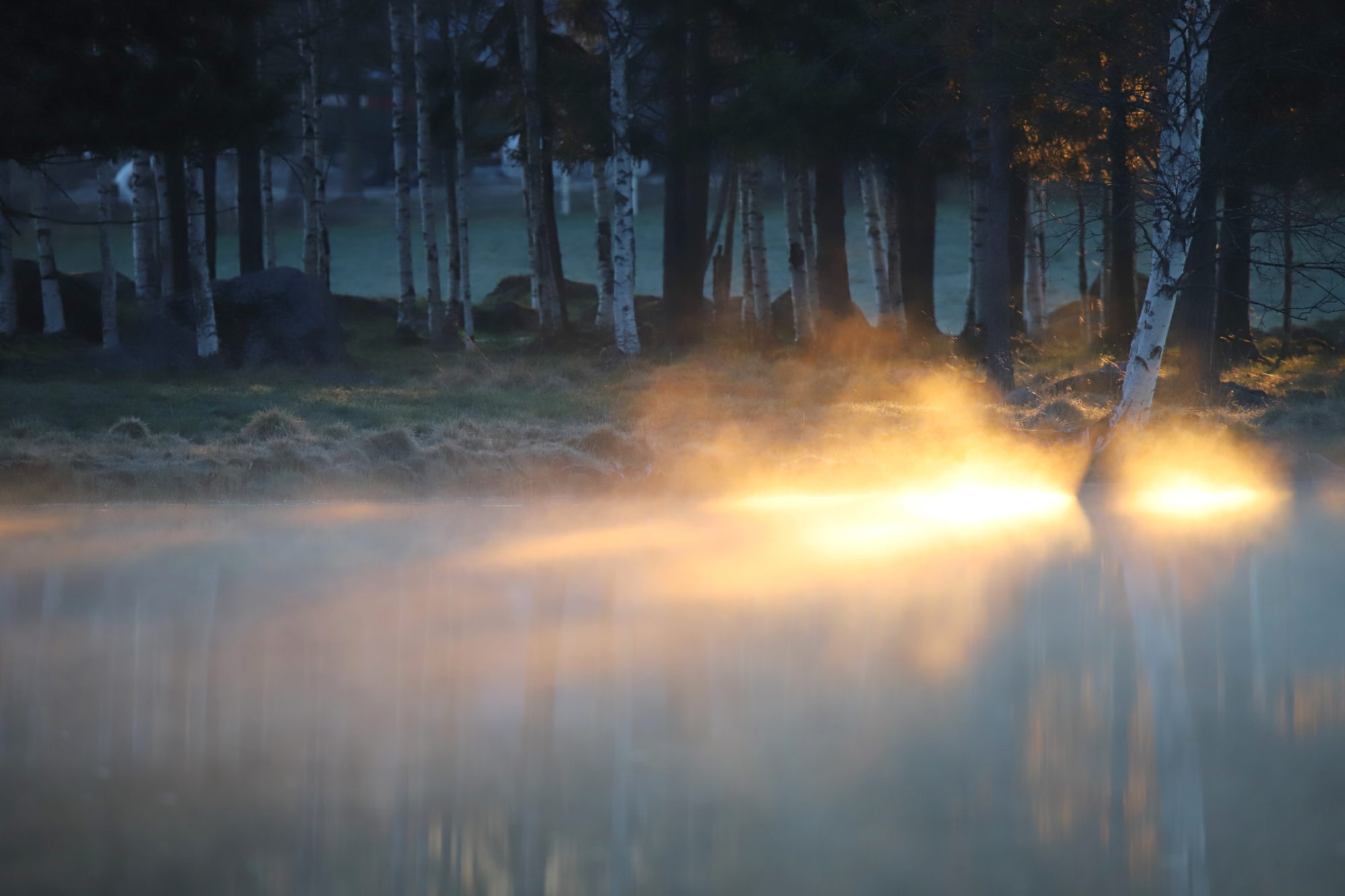 Valokuvaaja: sirpa jyske