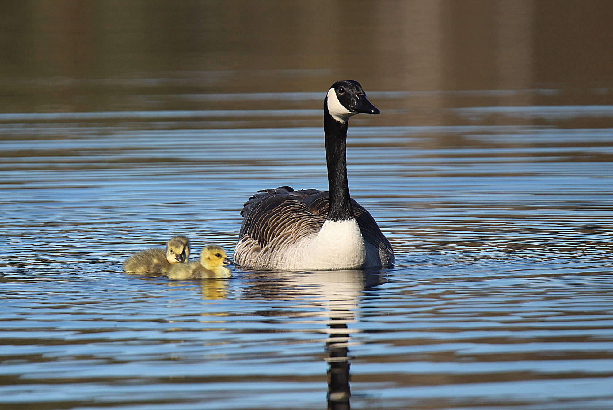 Valokuvaaja: sirpa jyske Valokuvaaja: sirpa jyske