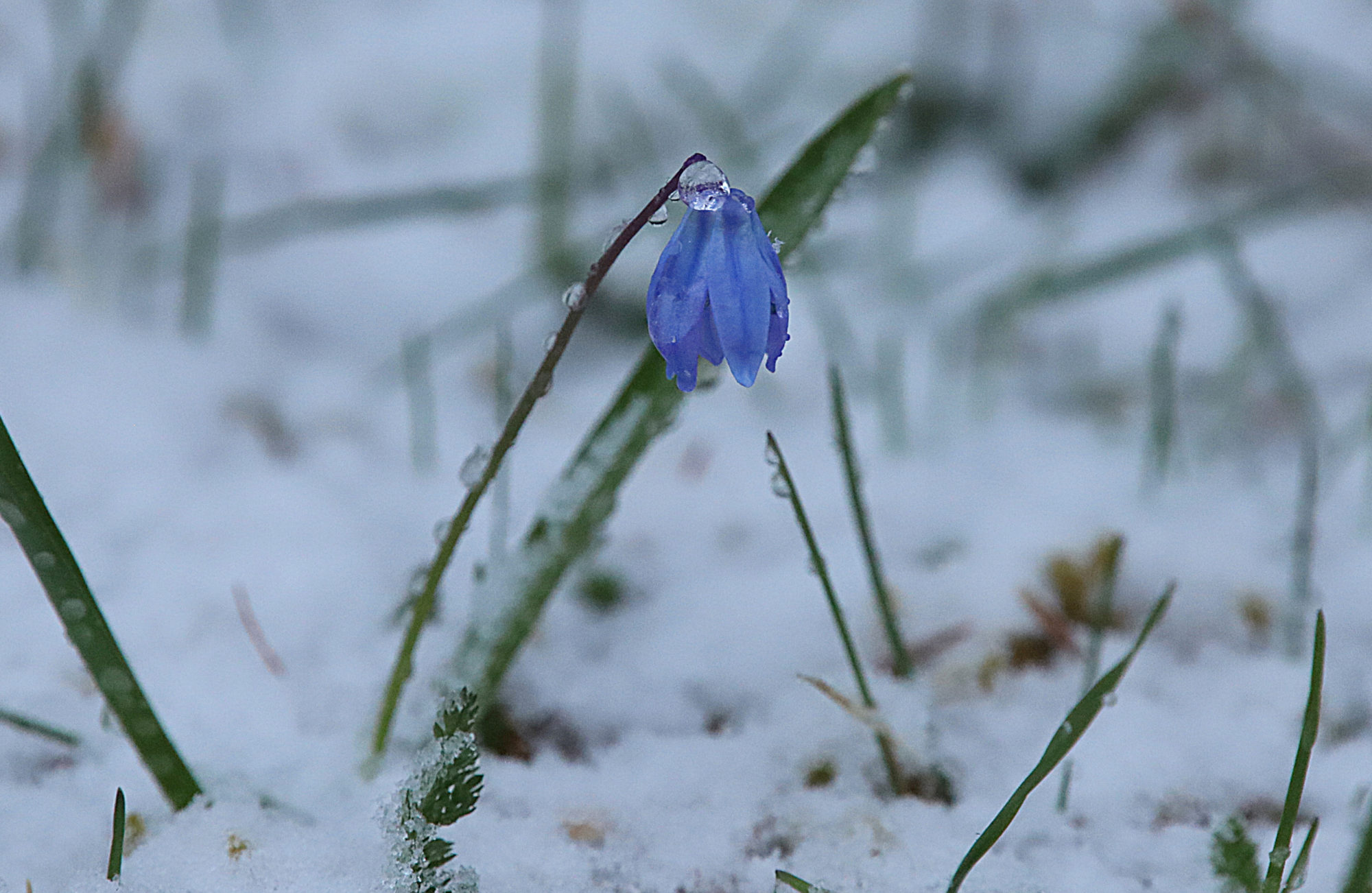 Valokuvaaja: sirpa jyske