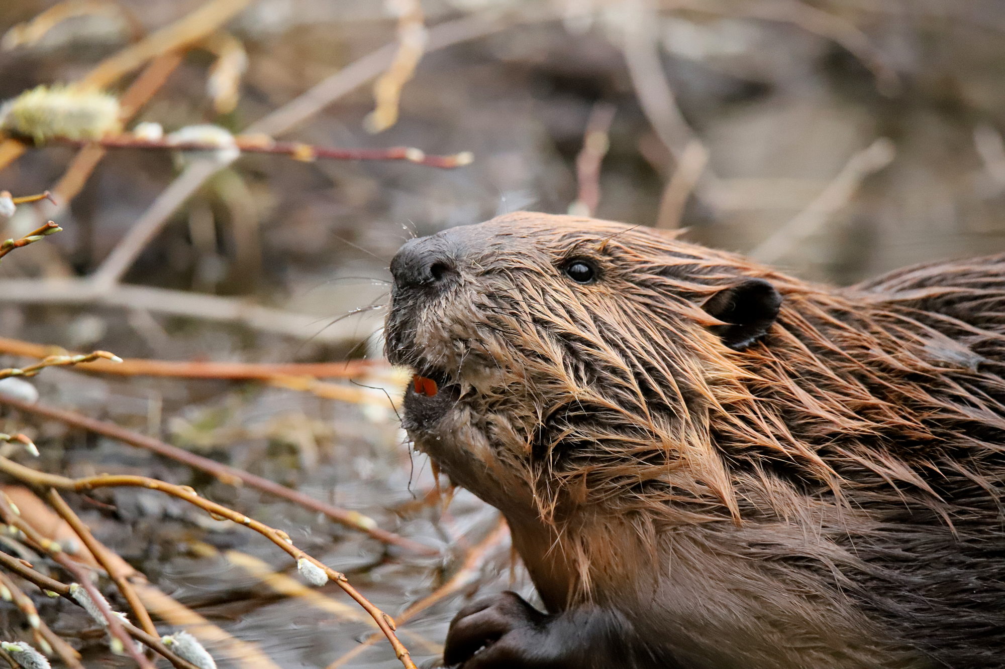 Valokuvaaja: sirpa jyske