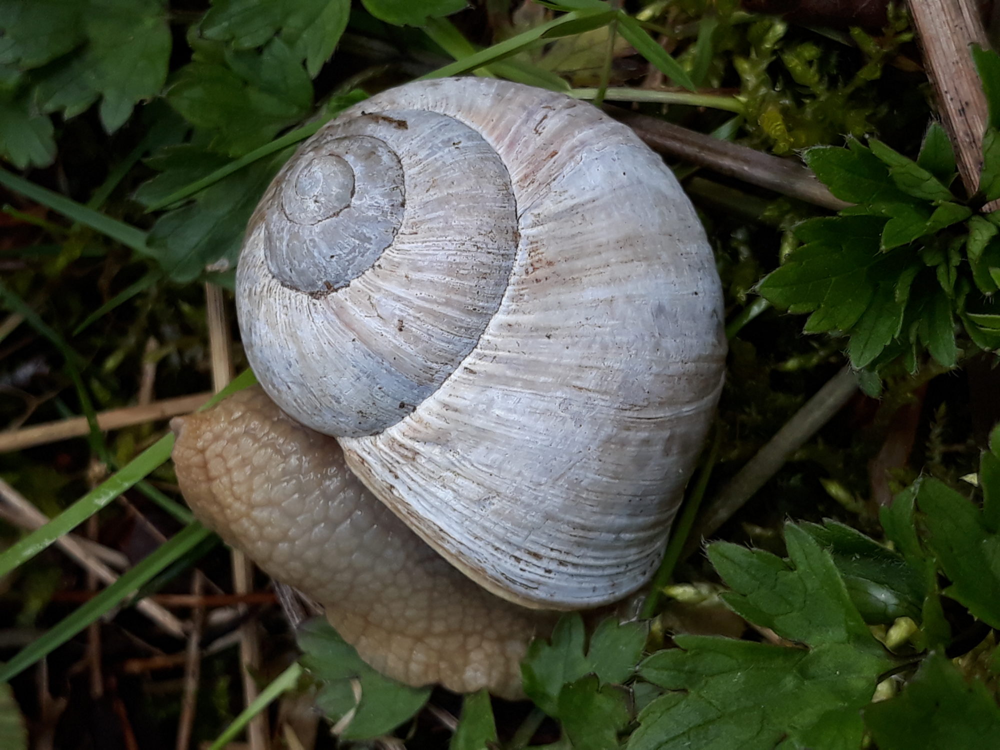 Valokuvaaja: Christina Forsberg