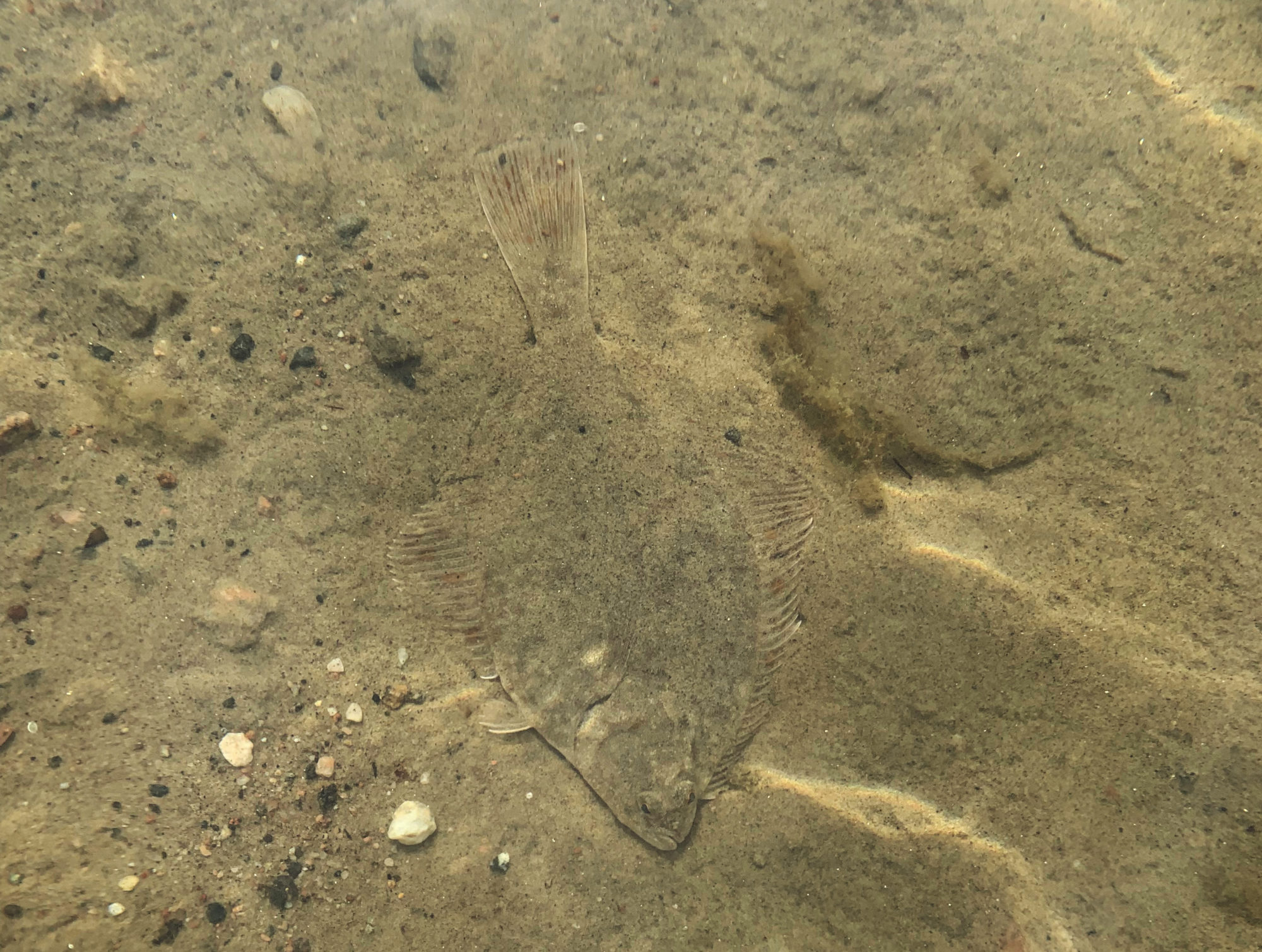 Valokuvaaja: Jarkko Nääs