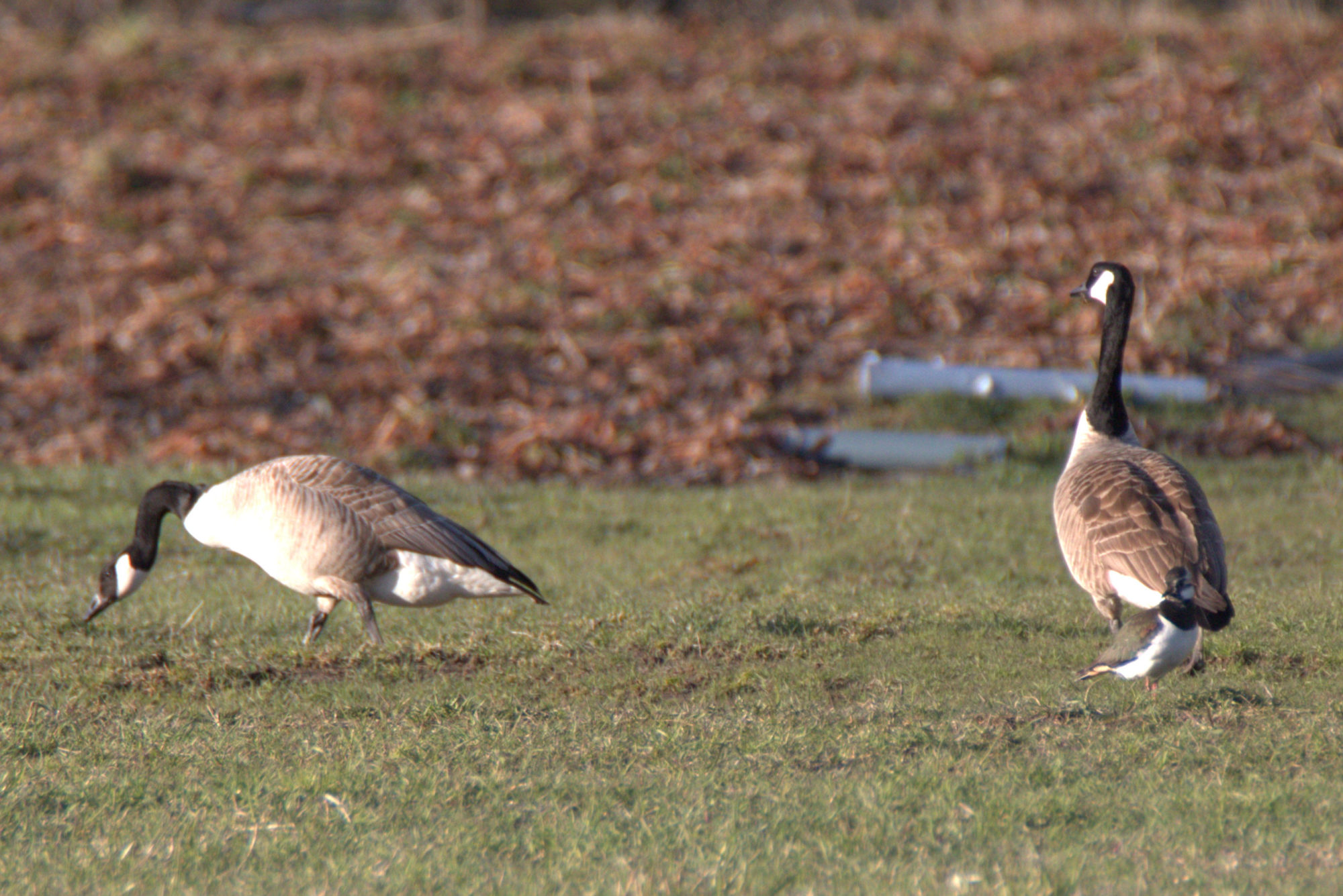 Valokuvaaja: Ahti Keränen