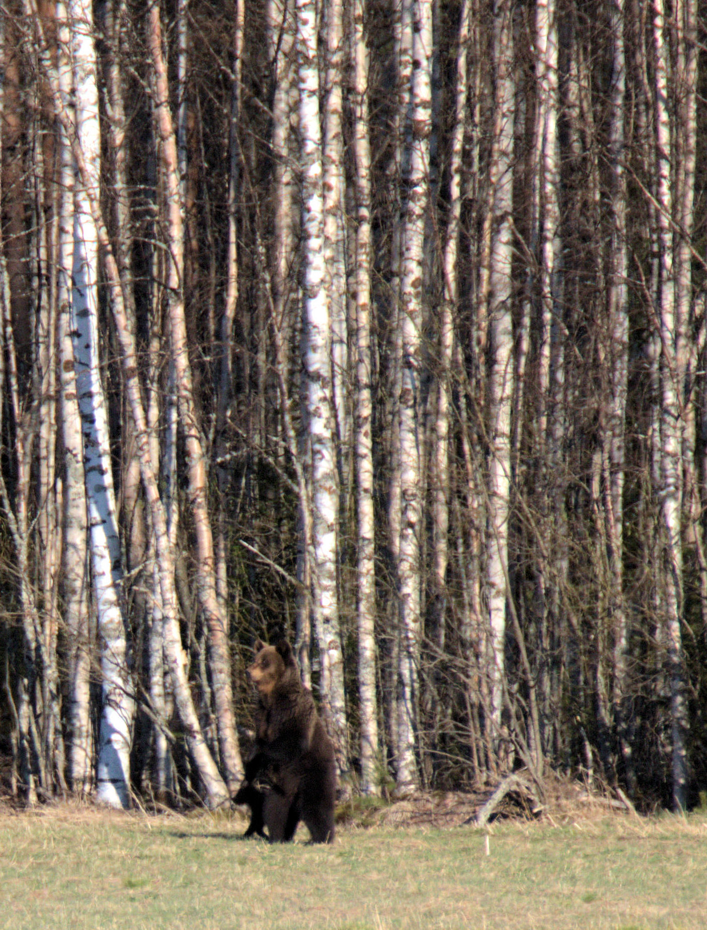 Valokuvaaja: Ahti Keränen Valokuvaaja: Ahti Keränen