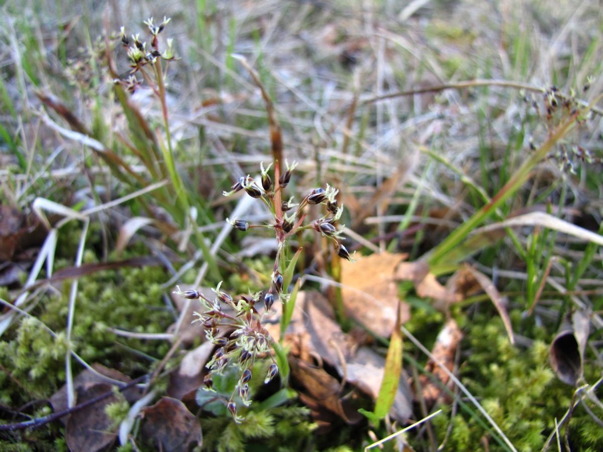 Valokuvaaja: Johanna Ervast