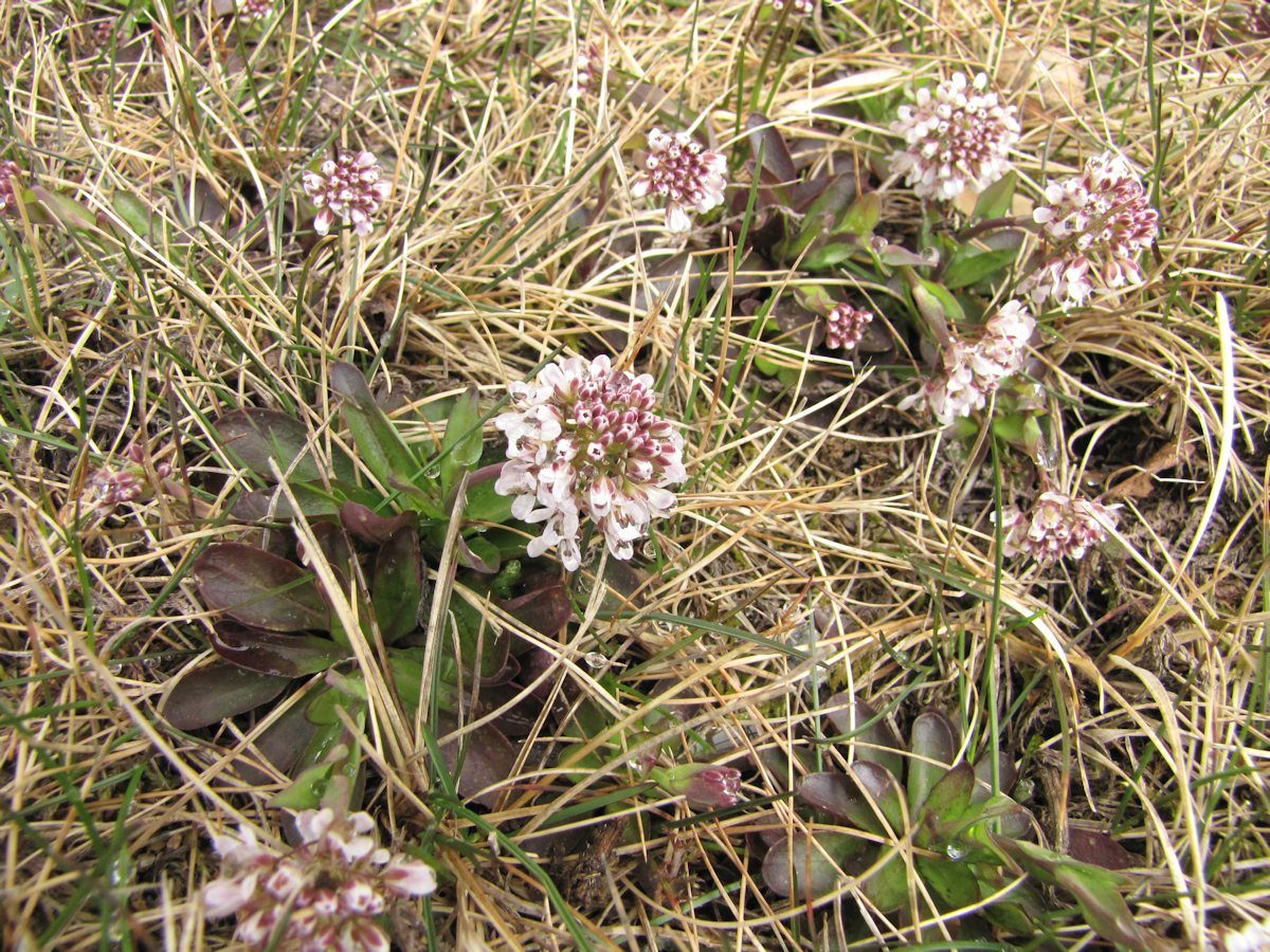 Valokuvaaja: Johanna Ervastt