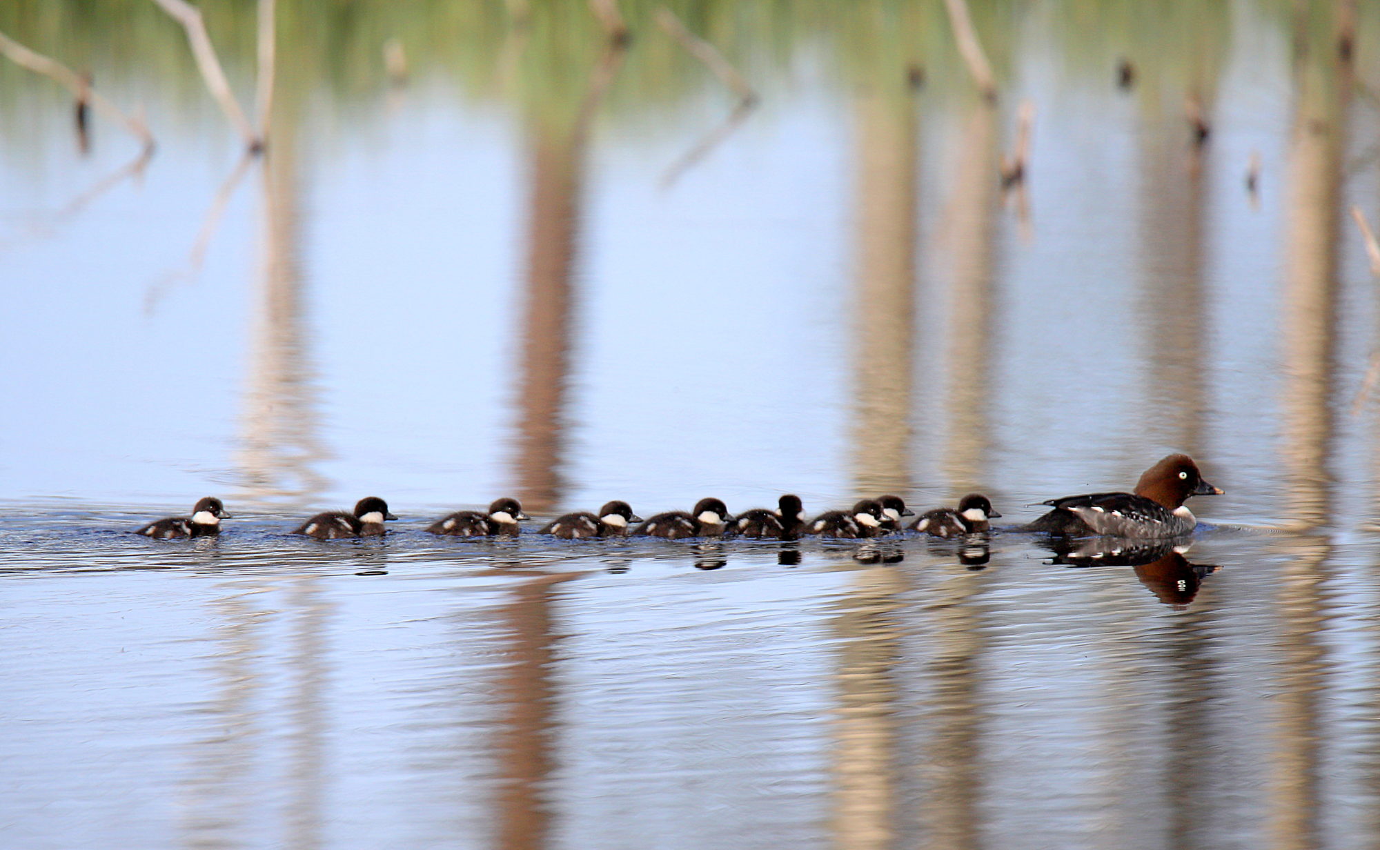 Valokuvaaja: sirpa Jyske