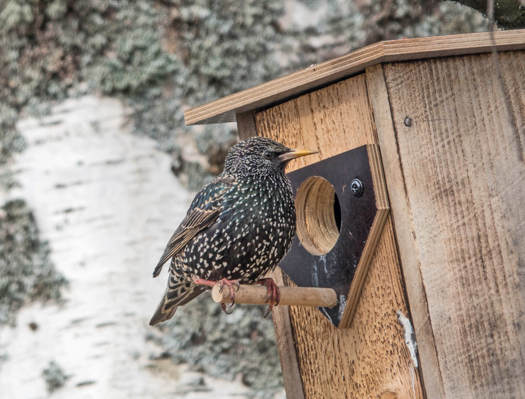 Valokuvaaja: Irma Kortekallio