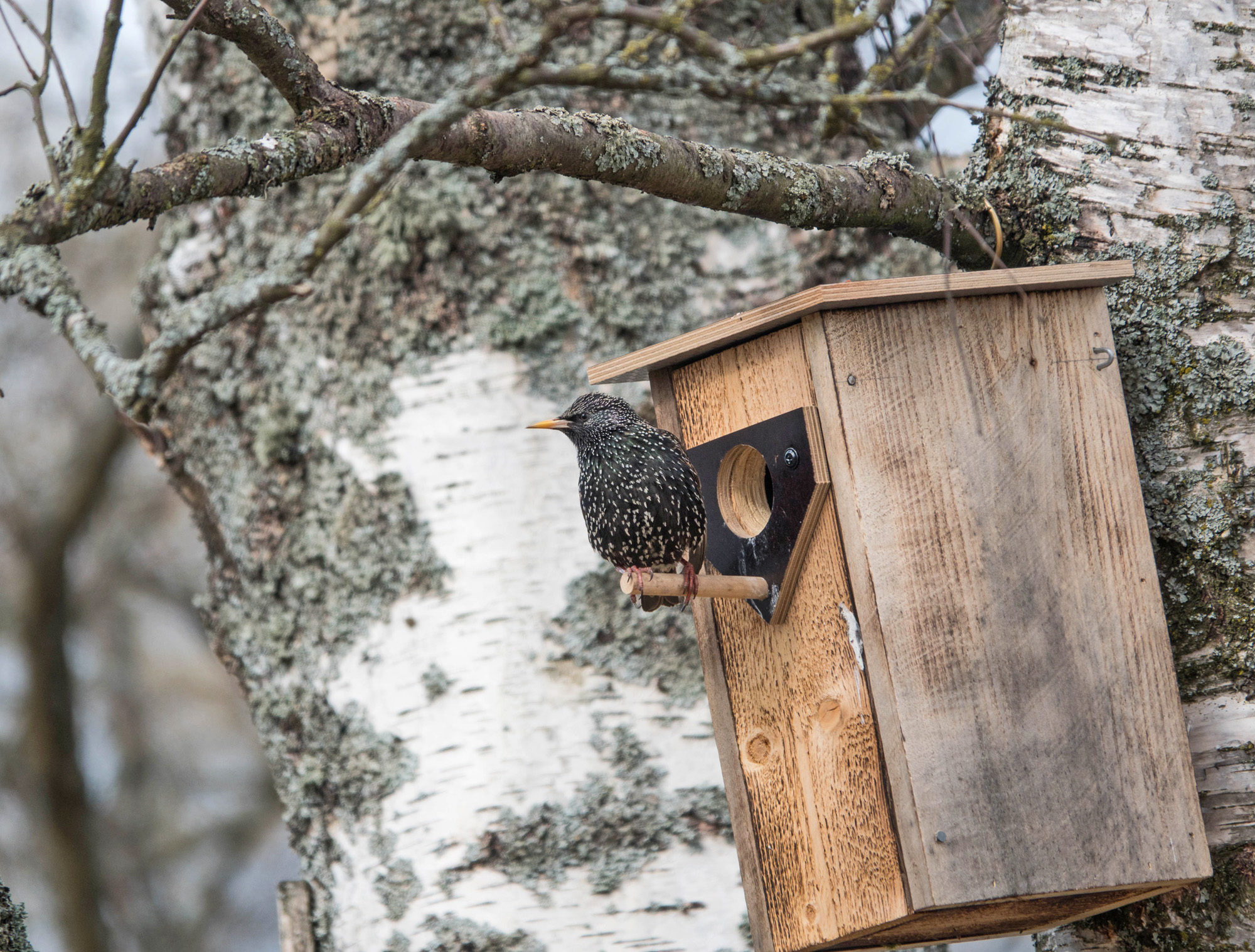 Valokuvaaja: Irma Kortekallio