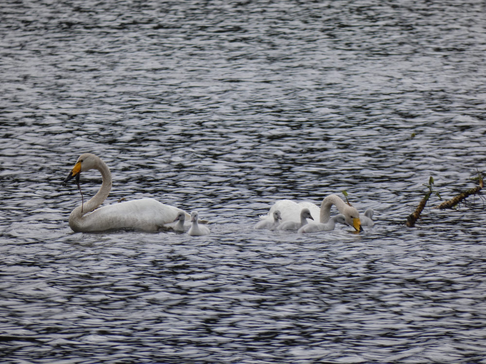 Valokuvaaja: Eero Peltonen
