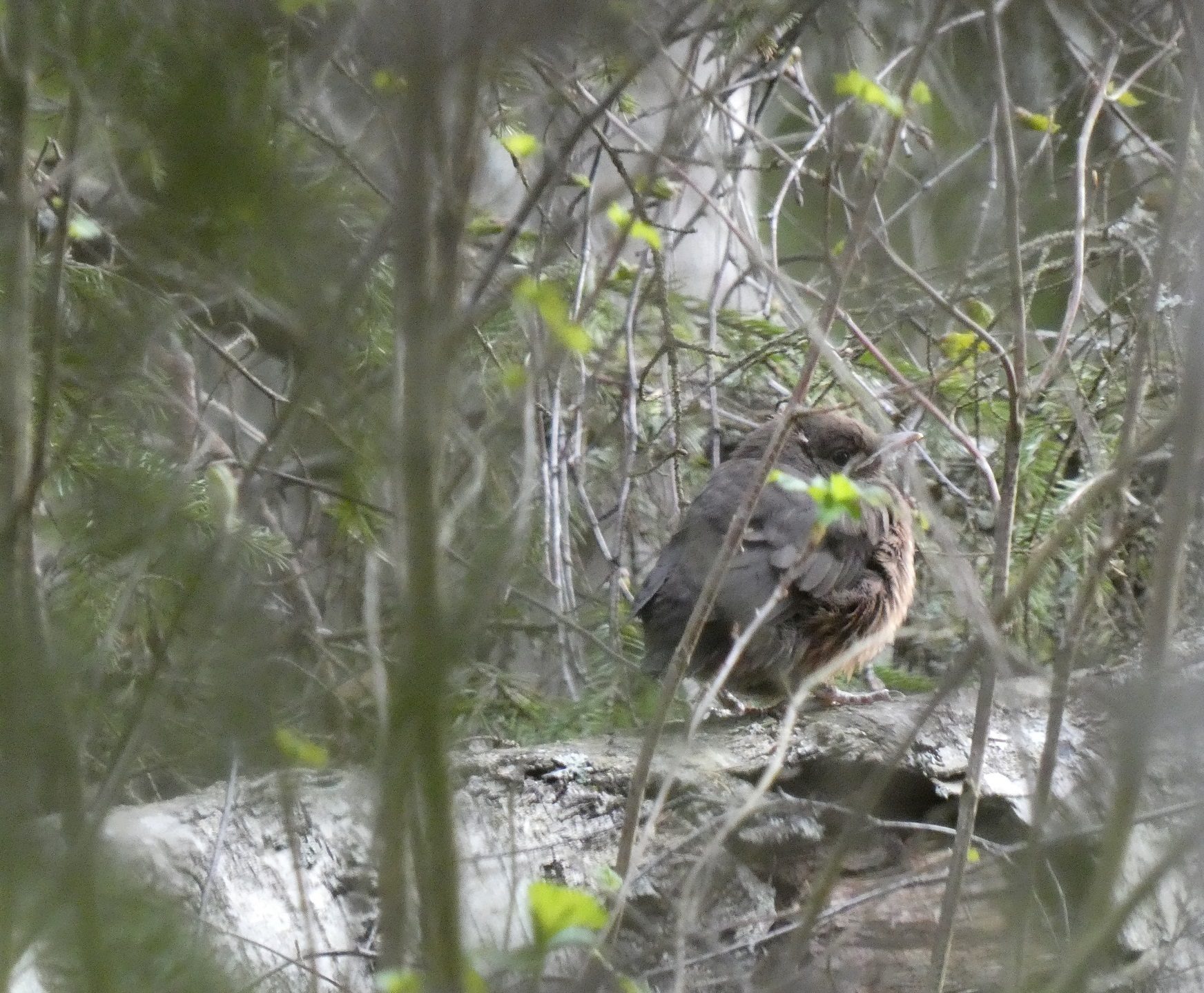 Valokuvaaja: Eero Peltonen